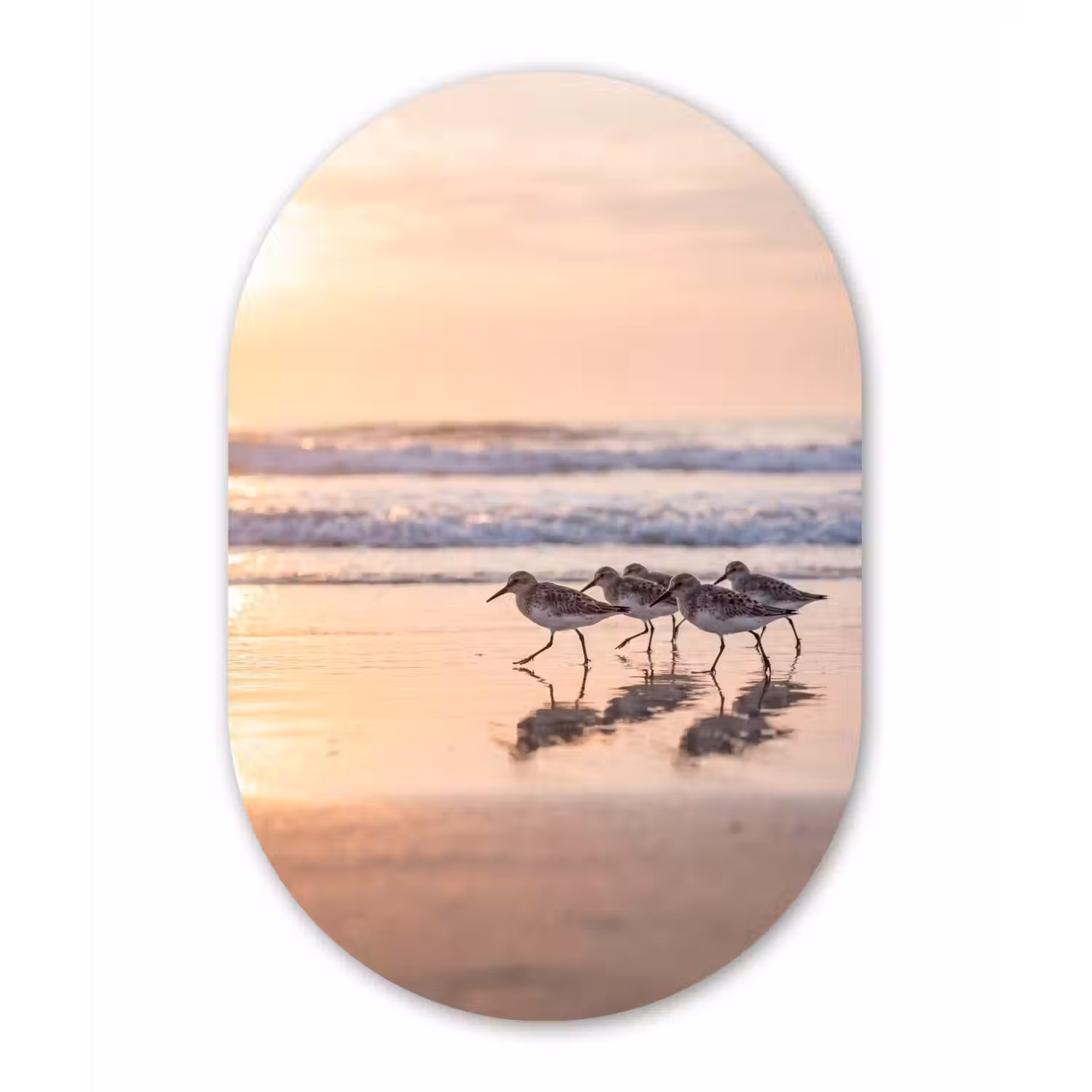 Zee - Vogels - Strand Wandcirkel Ovaal Aluminium middel -3d