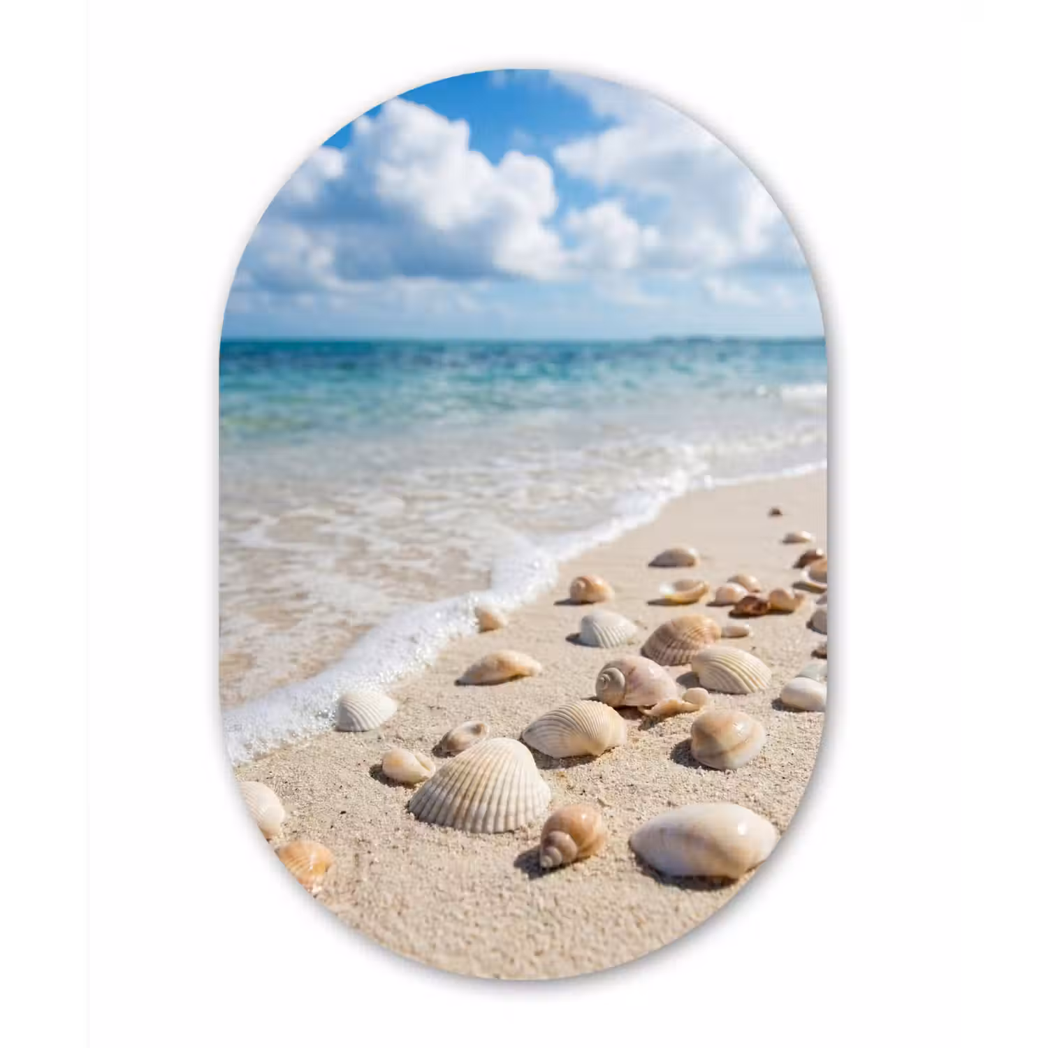 Schelpen - Strand - Natuur - Beige Wandcirkel Ovaal Aluminium middel -3d