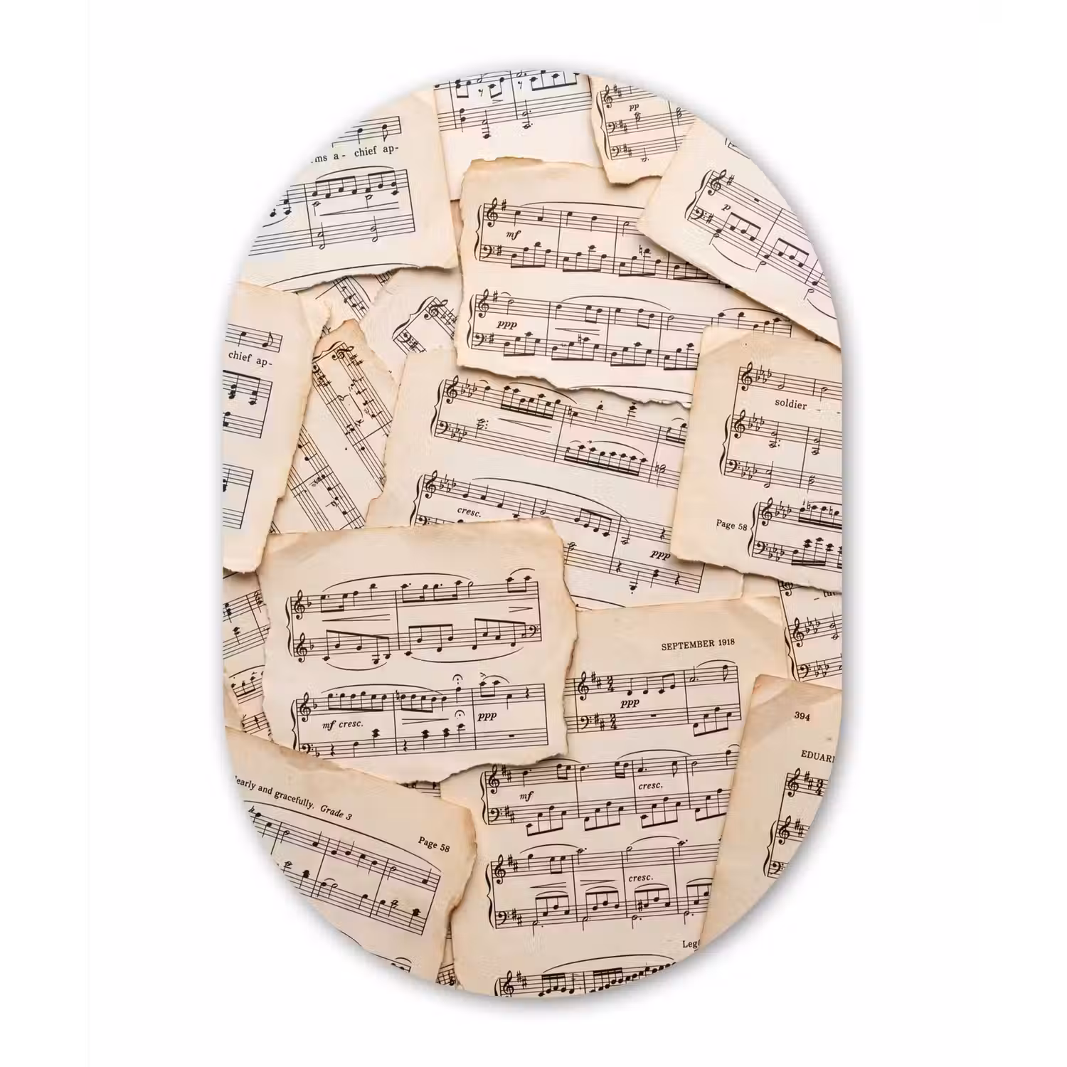 Bladmuziek - Oud - Noten - Vintage - Beige Wandcirkel Ovaal Aluminium middel -3d