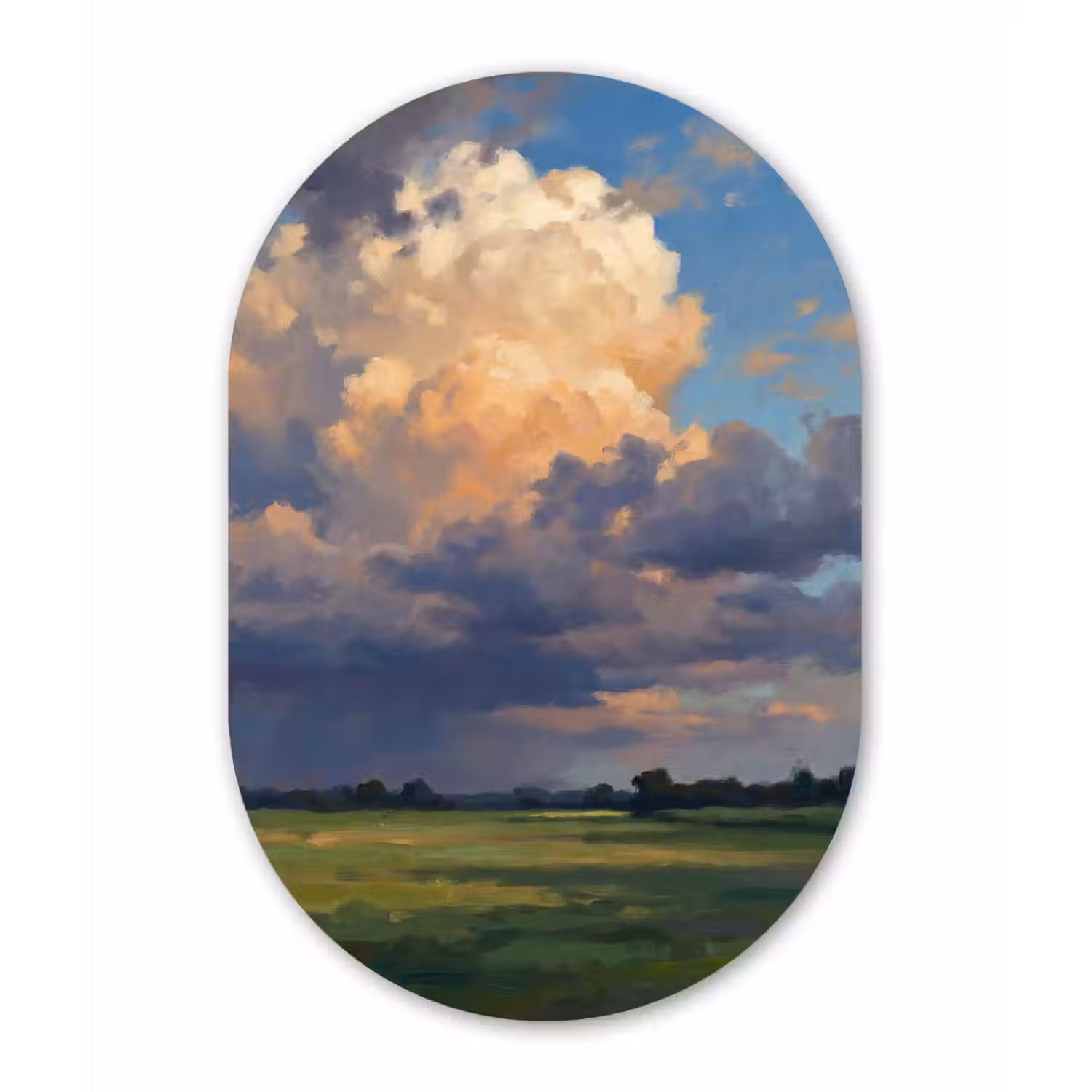 Lucht - Wolken - Landschap - Modern - Oranje Wandcirkel Ovaal Aluminium middel -3d