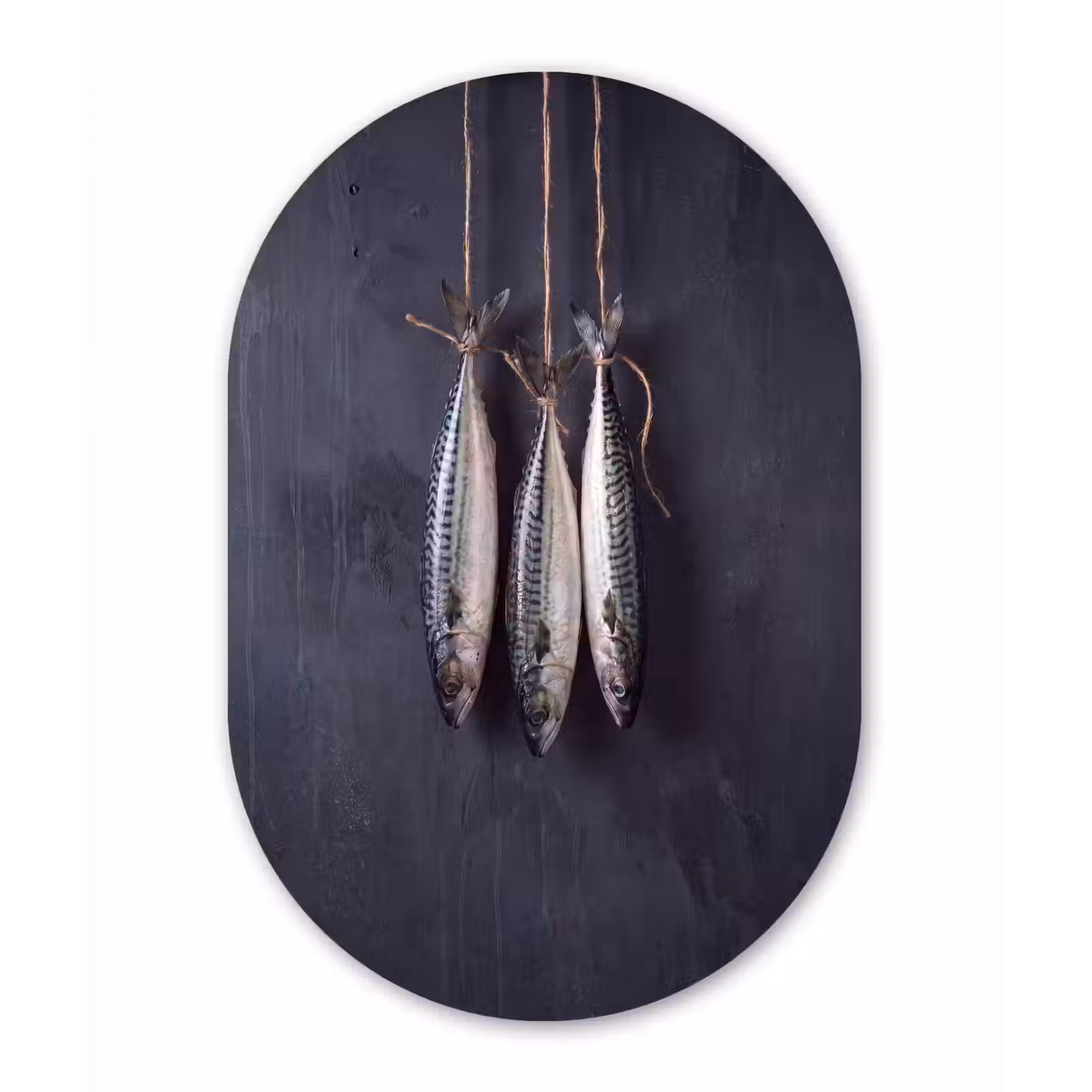 aluminium oval wall art - Three Fish - Rope - Drie vissen - Touw Wandcirkel Ovaal Aluminium middel