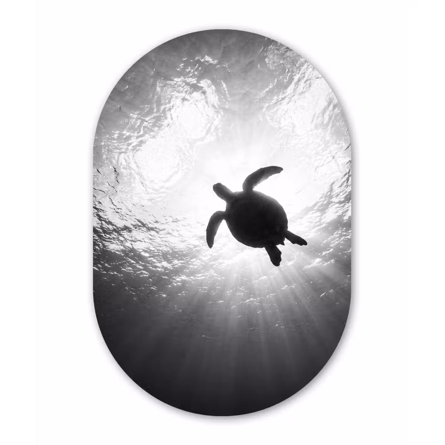 Schildpad - Onderwater - Lichtstralen - Oceaan - Zwart-wit Wandcirkel Ovaal Aluminium middel -3d