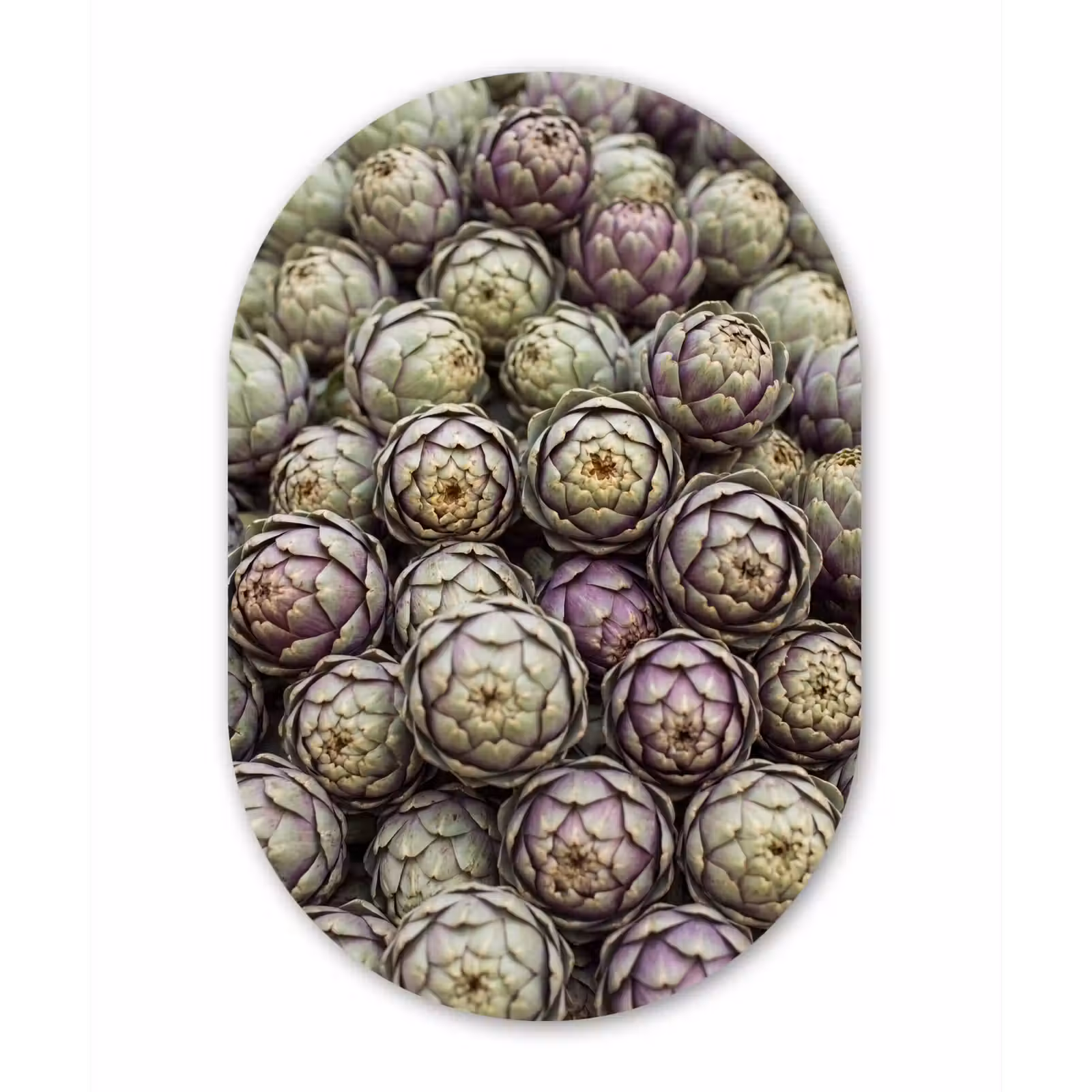 aluminium oval wall art - Vegetables - Fresh - Food - Groenten - Vers - Eten Wandcirkel Ovaal Aluminium middel