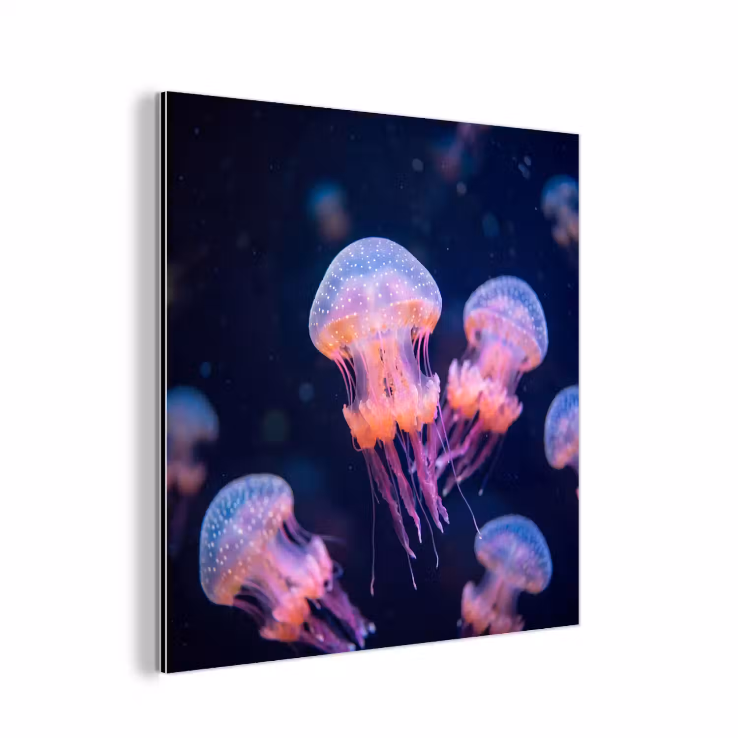Dier - Onderwater - Natuur - Roze - Mysterieus aluminium wit klein -3d
