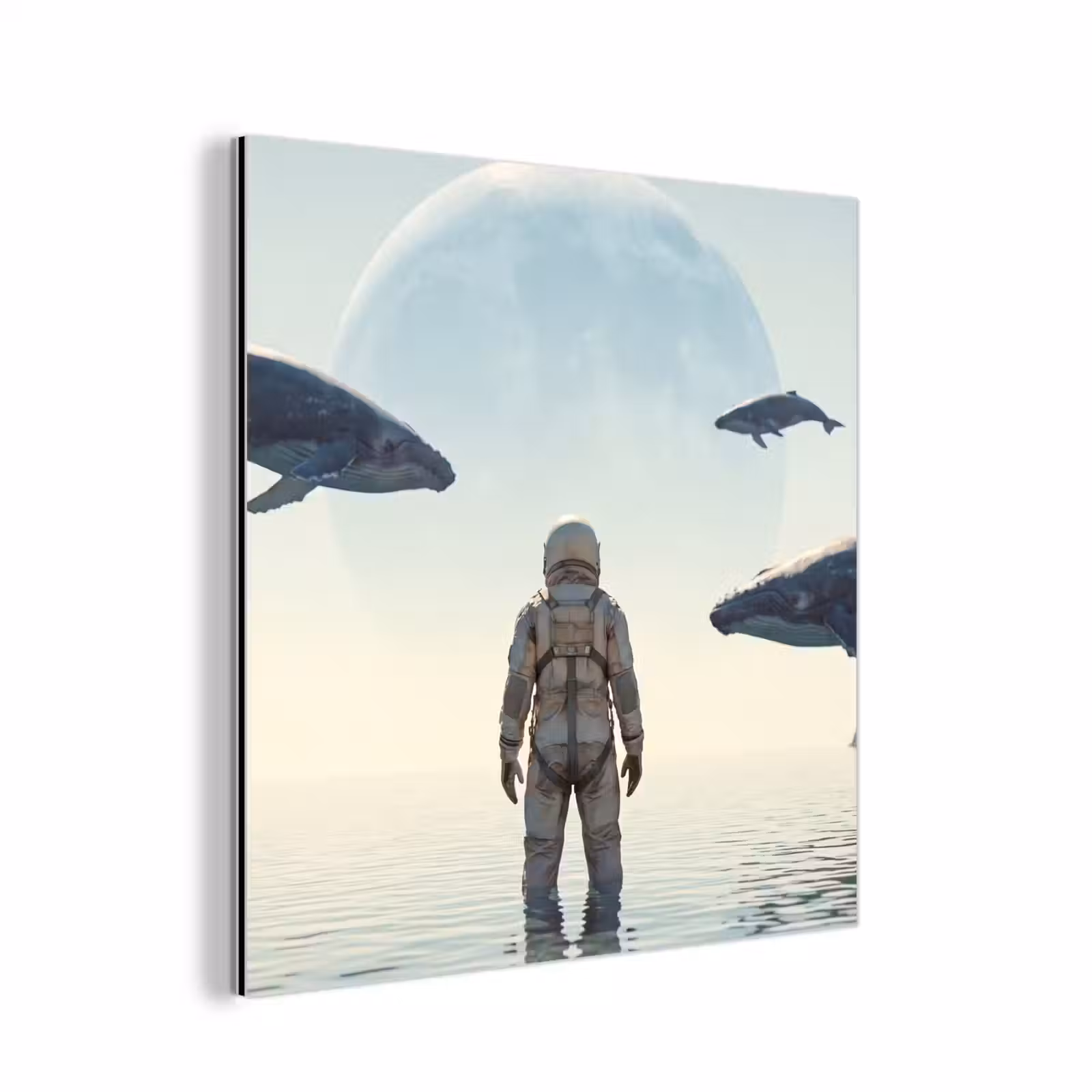 aluminium wall art - Astronaut - Whale - Fantasy - Ruimtevaarder - Walvis - Fantasie aluminium wit klein