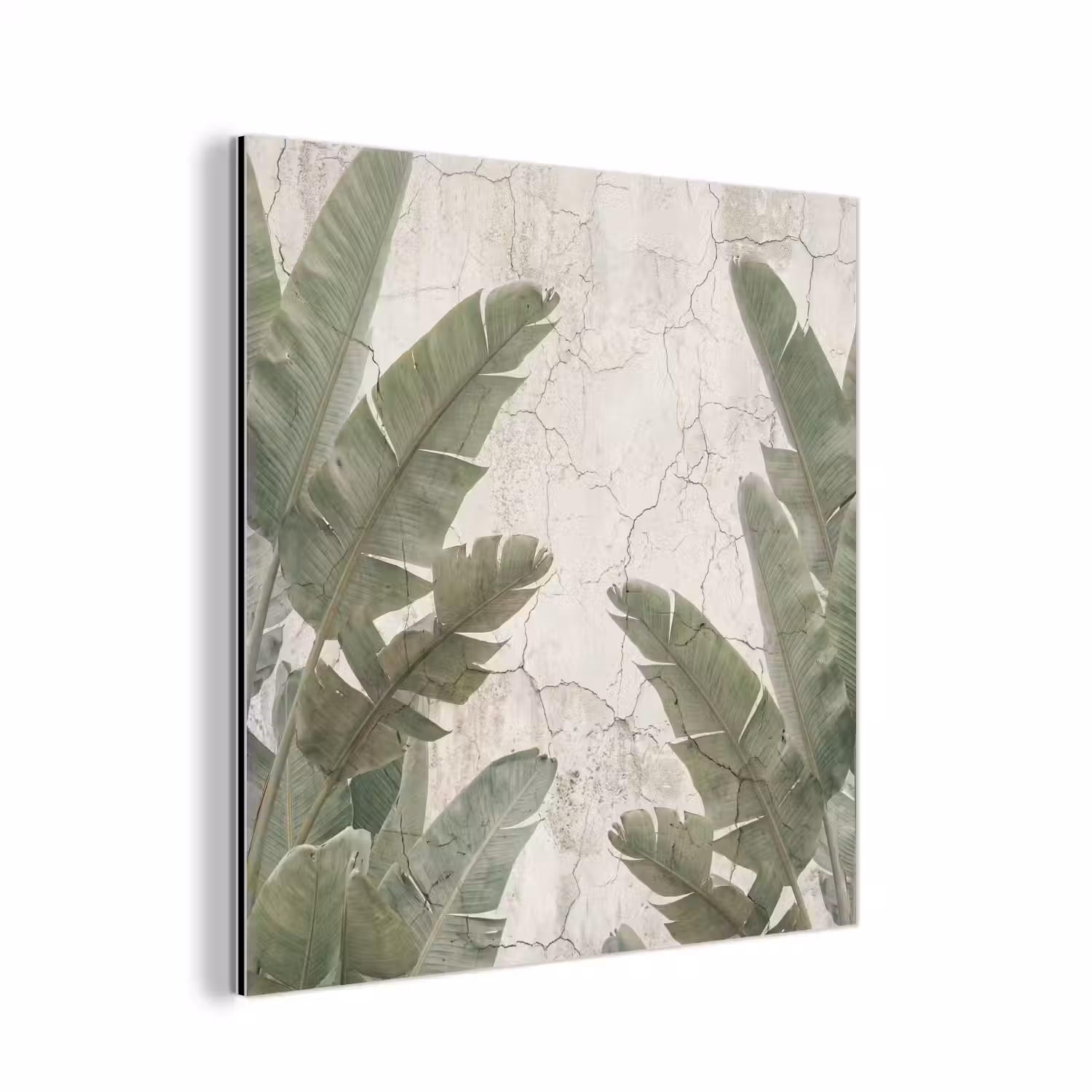 Bananenbladeren - Beton - Groen aluminium wit klein -3d