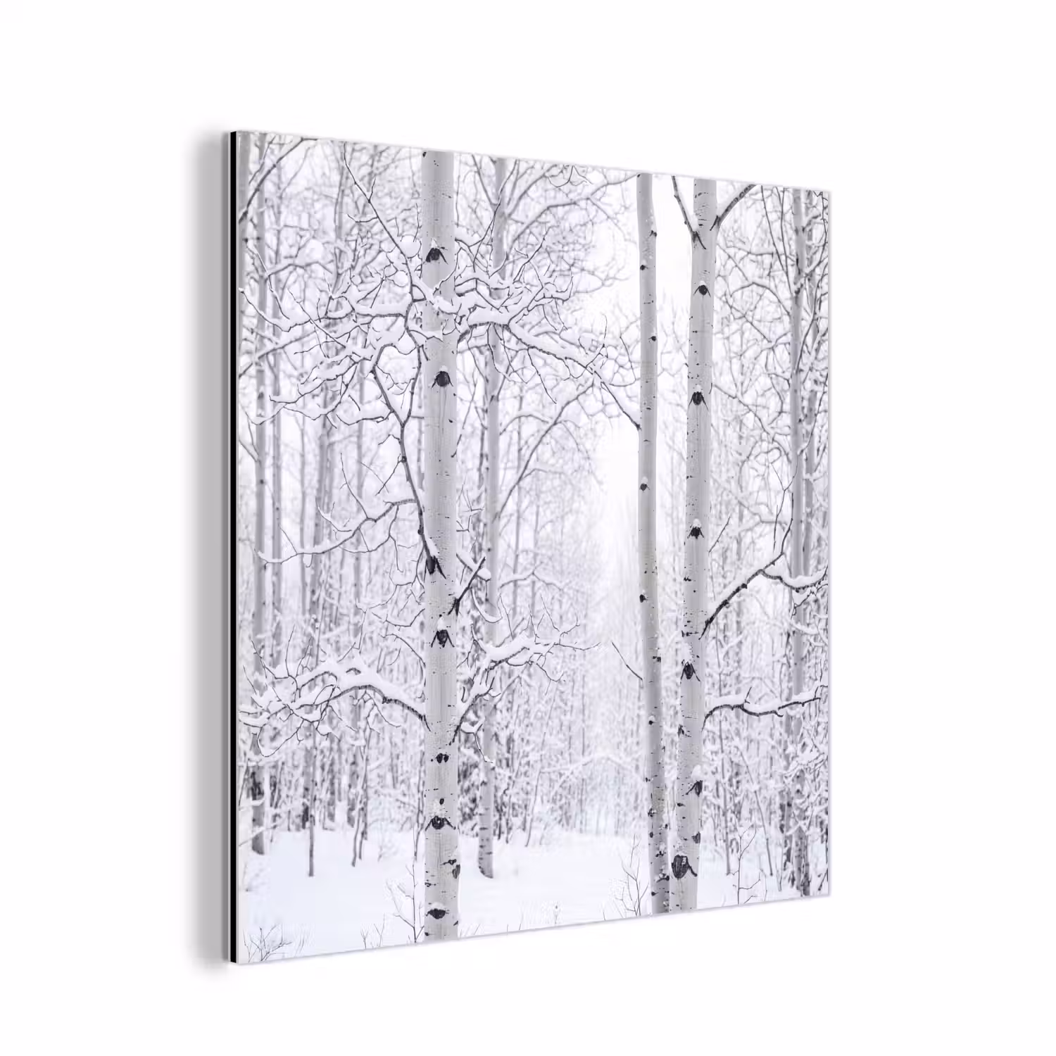 Berkenbomen - Sneeuw - Winter - Bos - Wit aluminium wit klein -3d