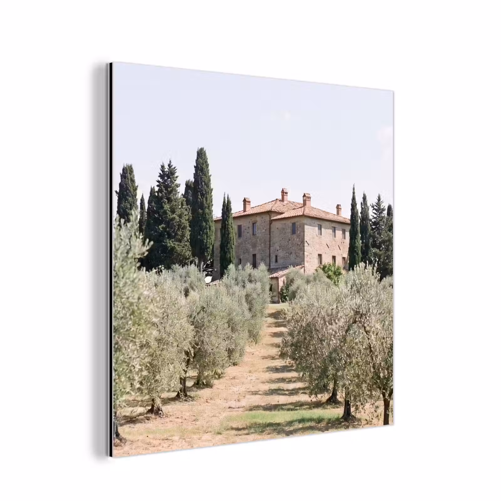 aluminium wall art - Country house - olive tree - orchard - Landhuis - olijfboom - gaard aluminium wit klein