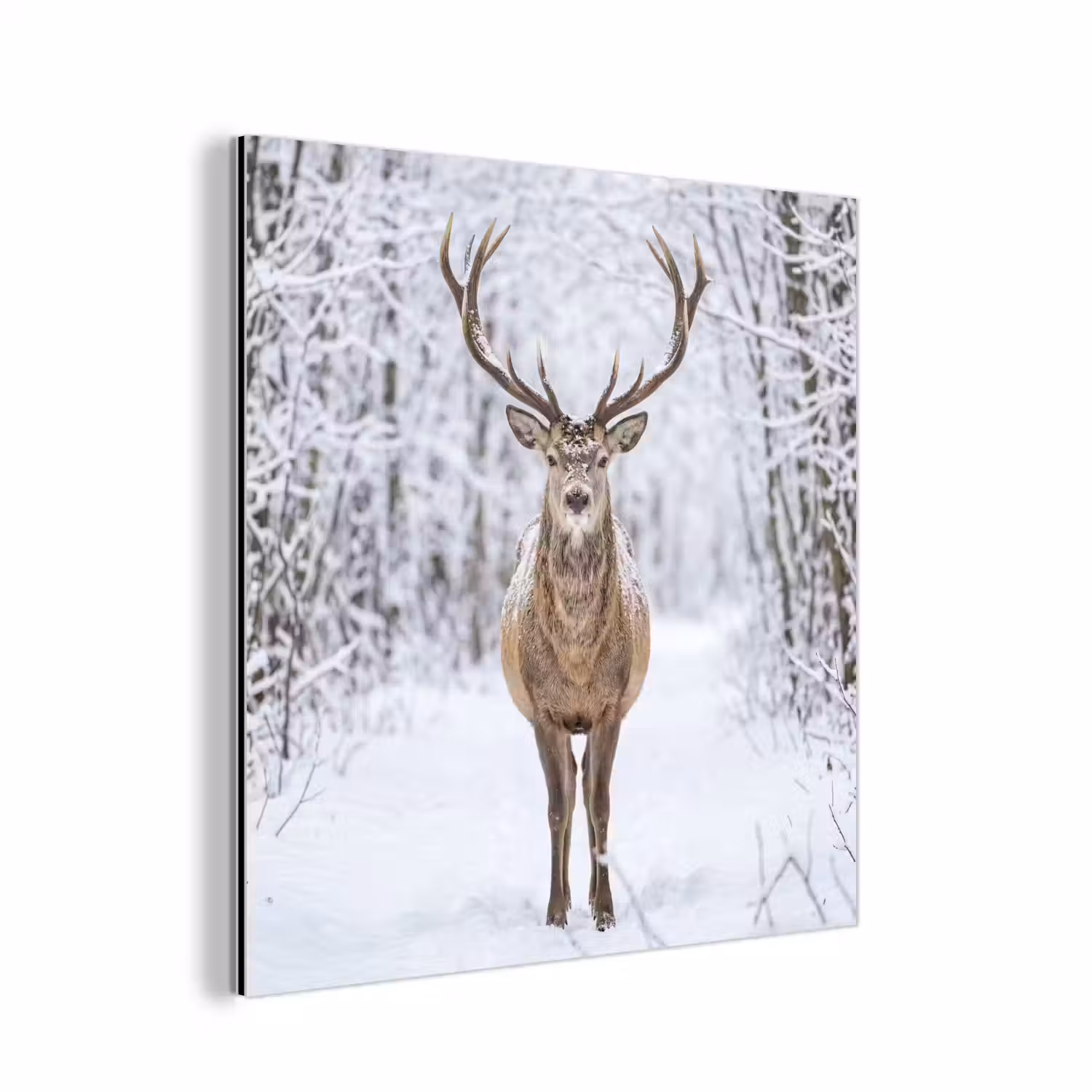 Hert - Winter - Bos - Natuur - Wit aluminium wit klein -3d