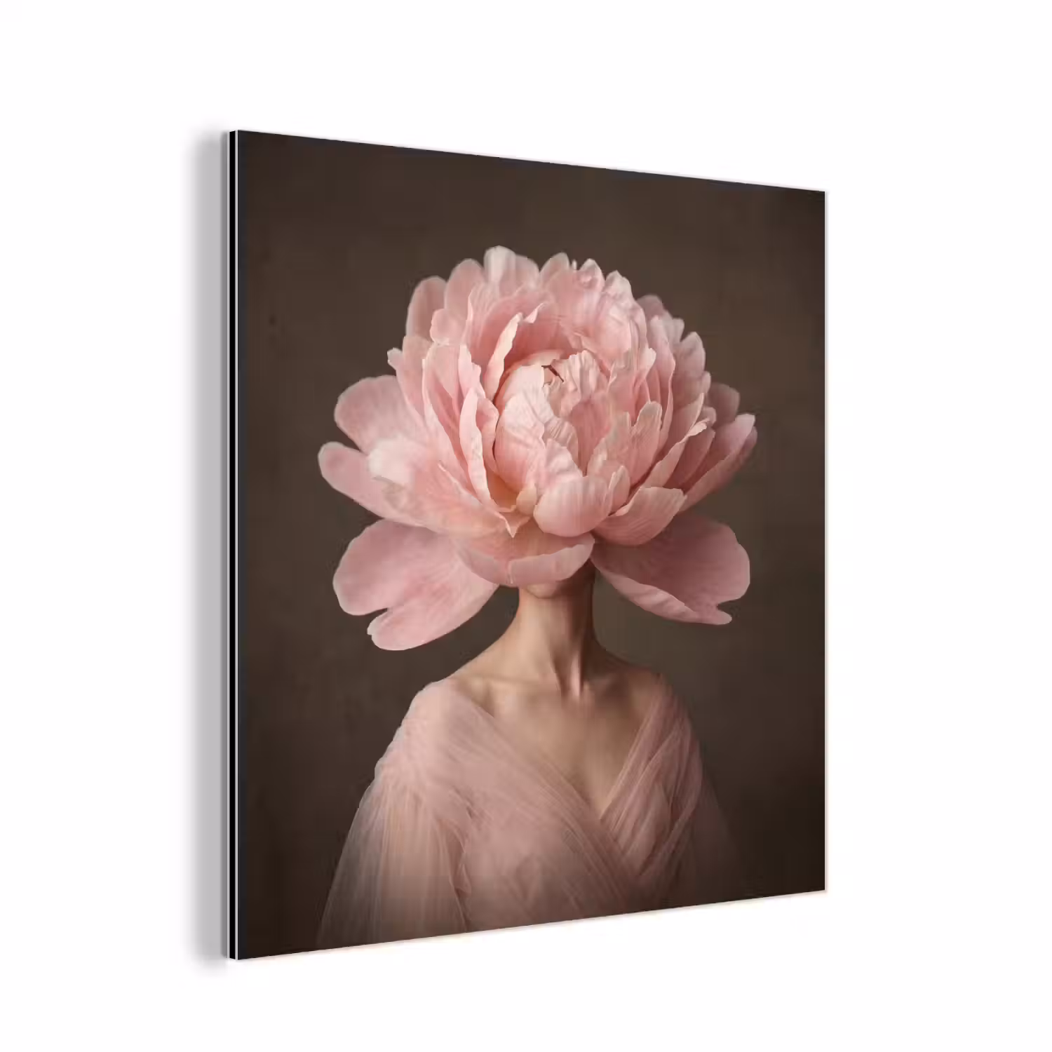 Gezicht - Roos - Roze aluminium wit klein -3d