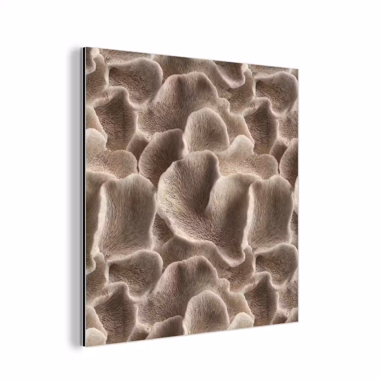 Waaiervorm - Beige - Vezel textuur aluminium wit klein 46 -3d