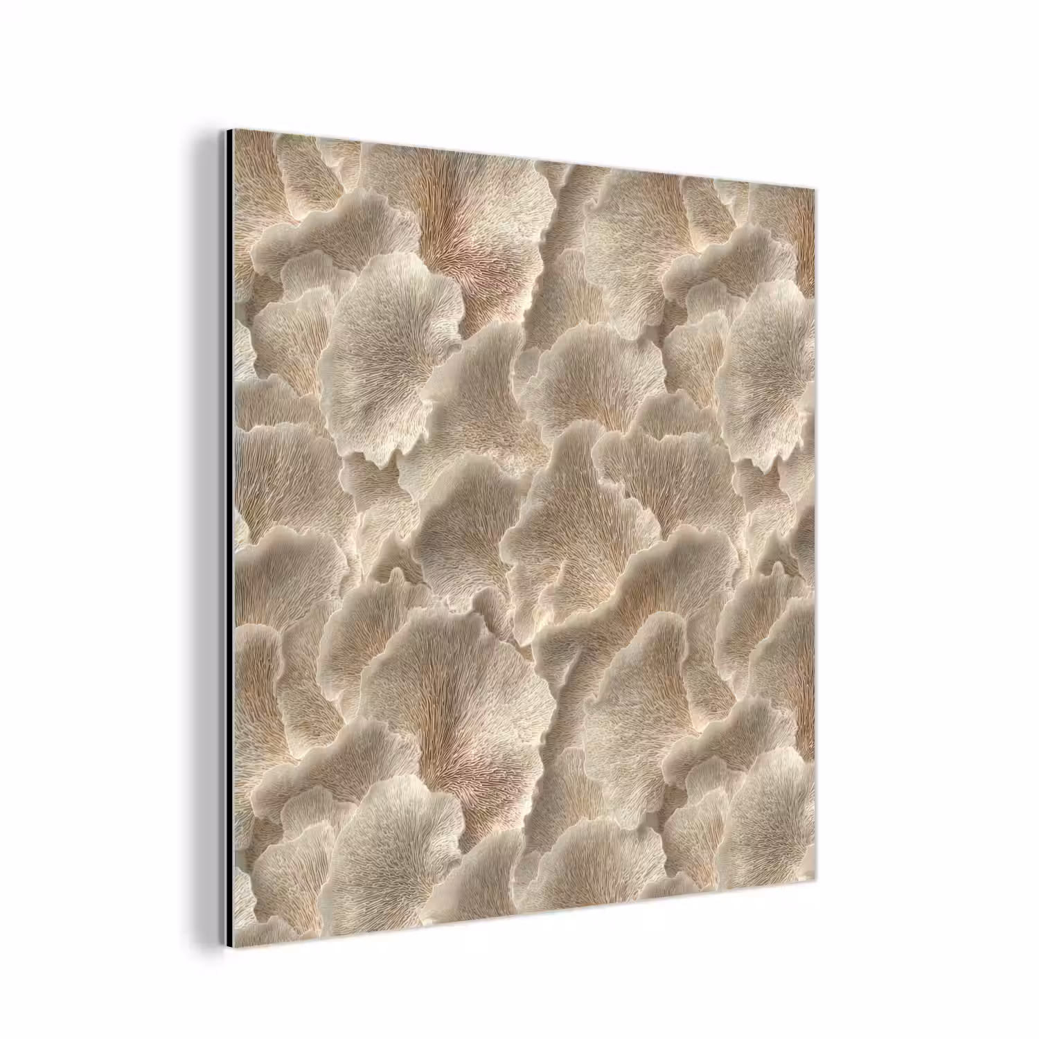 Waaierstructuren - Beige - Vezeltextuur aluminium wit klein 46 -3d