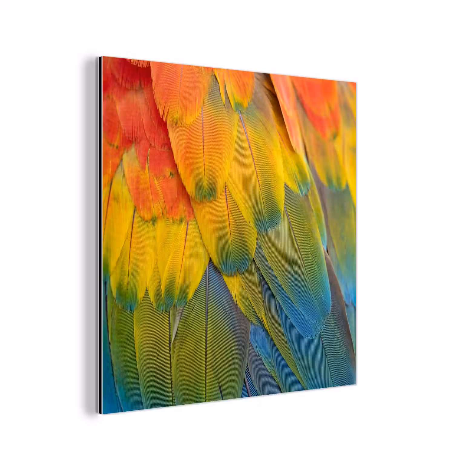 Veren - Ara - Kleurrijk aluminium wit klein -3d