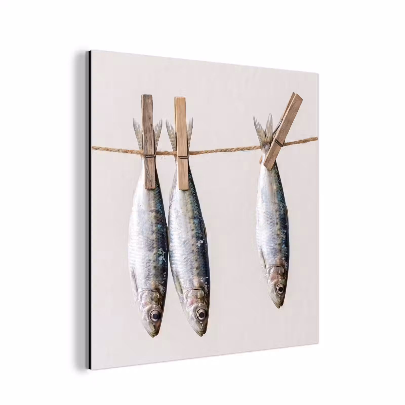 aluminium wall art - Fish - Hanging - Food - Vis - Hangend - Eten aluminium wit klein