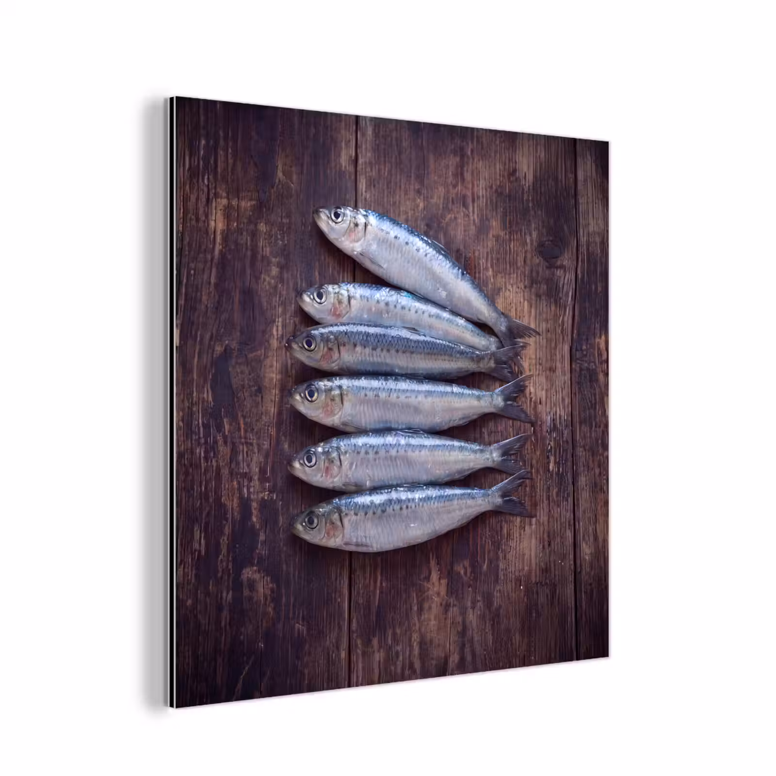 aluminium wall art - Fish - Wood - Food - Vis - Hout - Eten aluminium wit klein