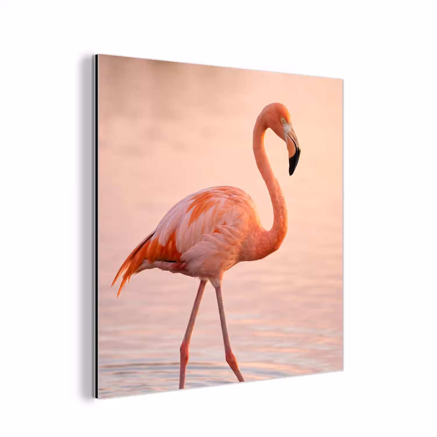 Flamingo - Water - Roze aluminium wit klein -3d