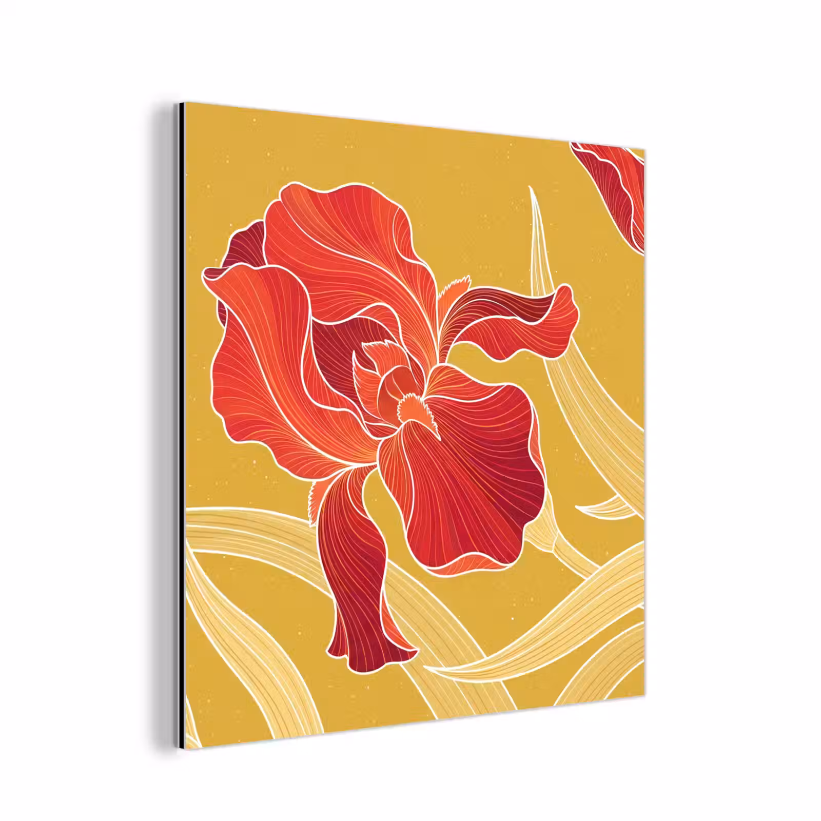 aluminium wall art - Flowers - Illustration - Red - Bloemen - Illustratie - Rood aluminium wit klein