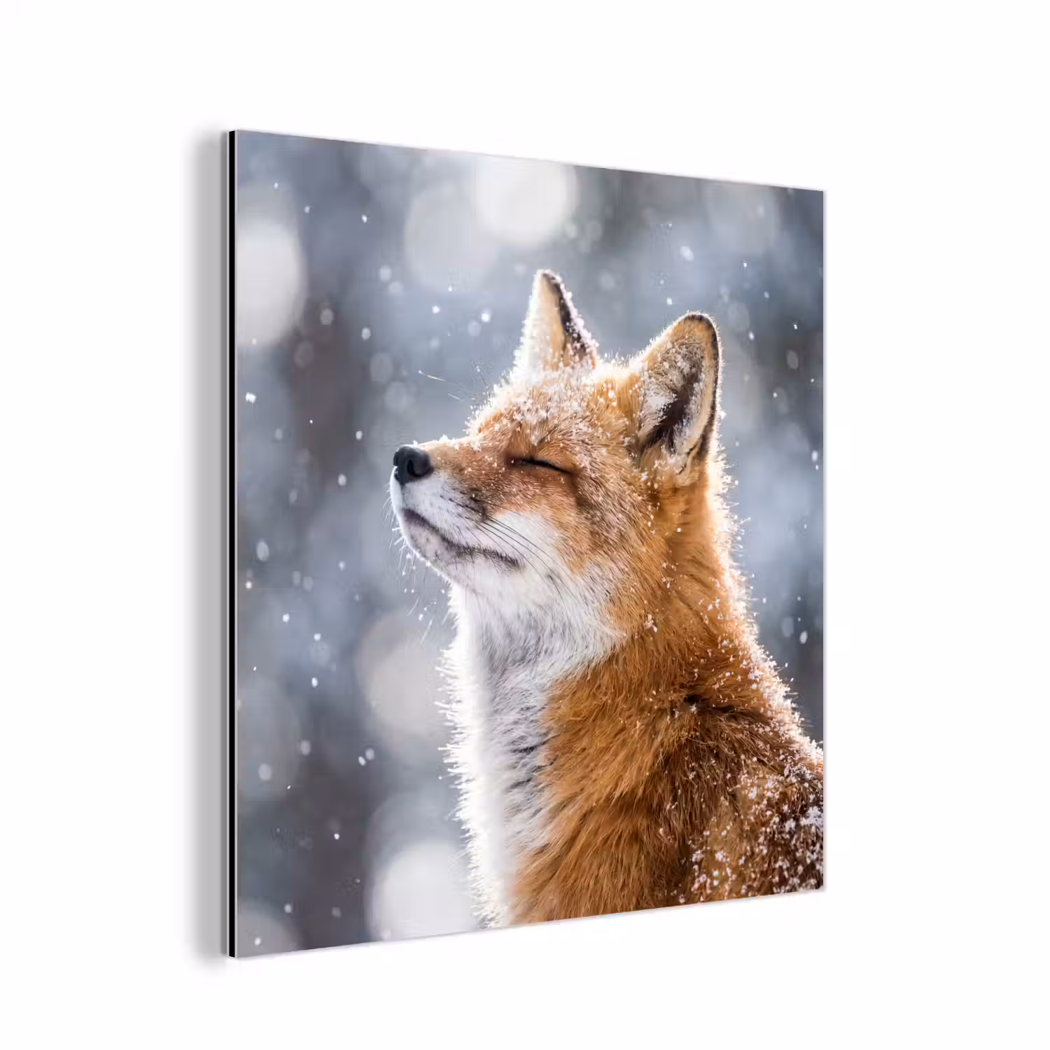 Vos - Sneeuwval - Portret - Winter - Sfeervol aluminium wit klein -3d