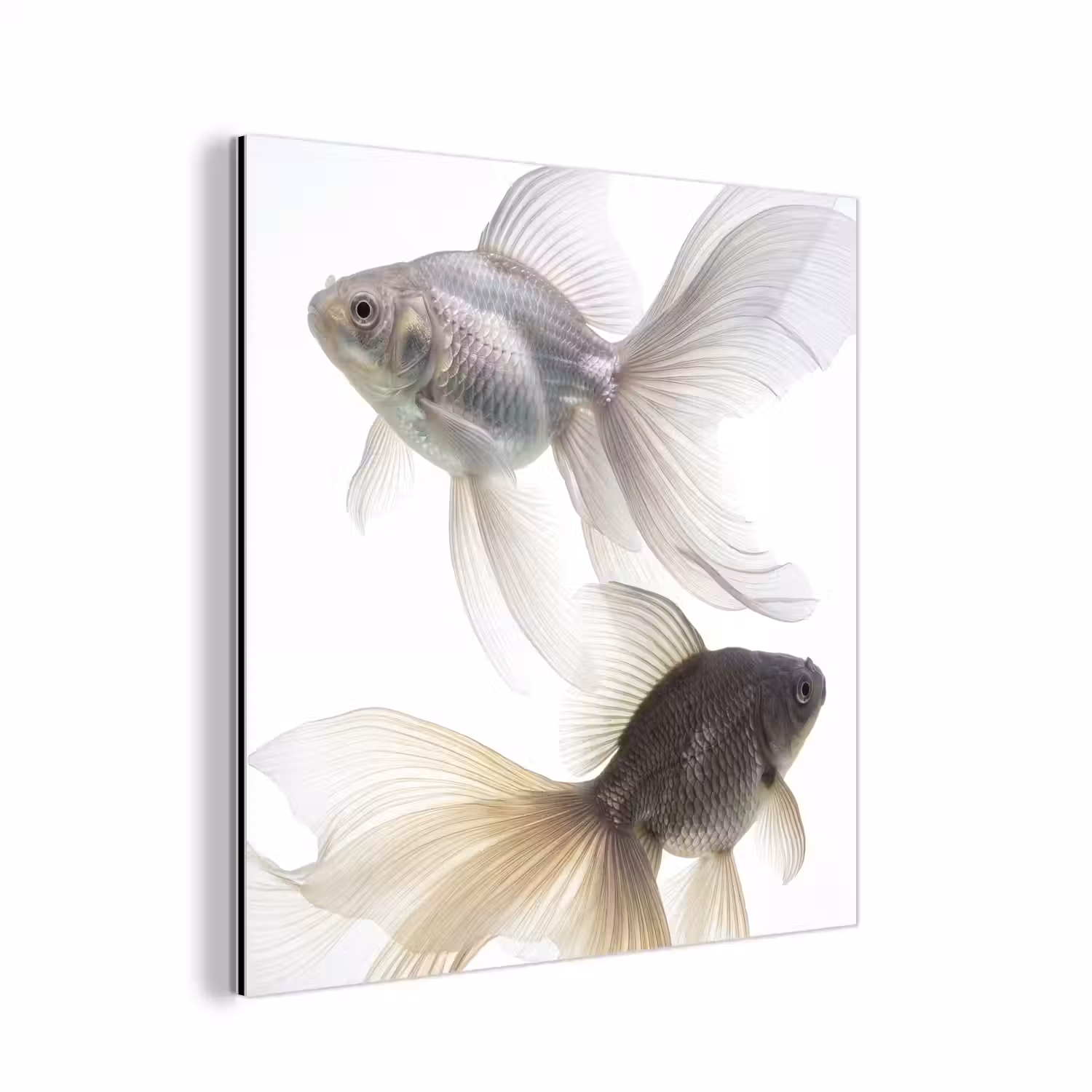 Goudvissen - Modern - Wit aluminium wit klein -3d