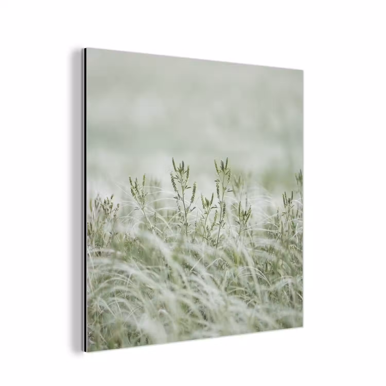 Grassen - Minimalistisch - Groen aluminium wit klein -3d