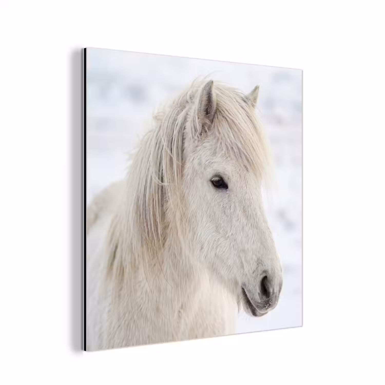 Paard - Kop - Winter - Dieren - Wit aluminium wit klein -3d