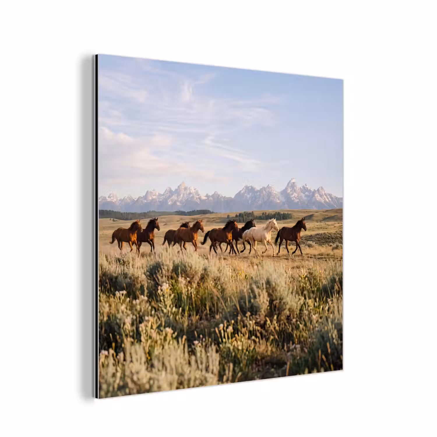 Paarden - Kudde - Bergen - Vrijheid - Wild aluminium wit klein -3d