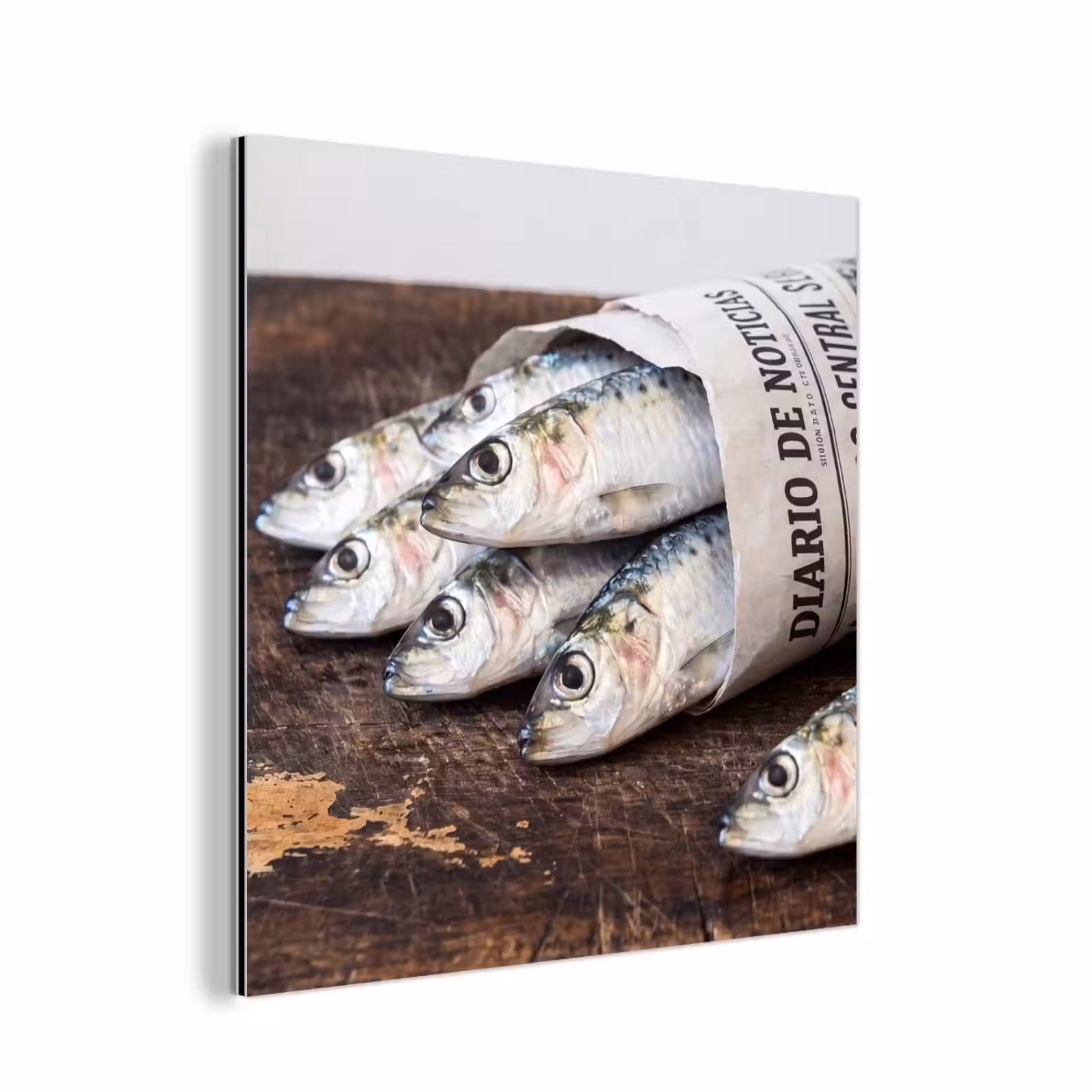 aluminium wall art - Little Sardine - newspaper - cutting board - Sardientje - krant - snijplank aluminium wit klein