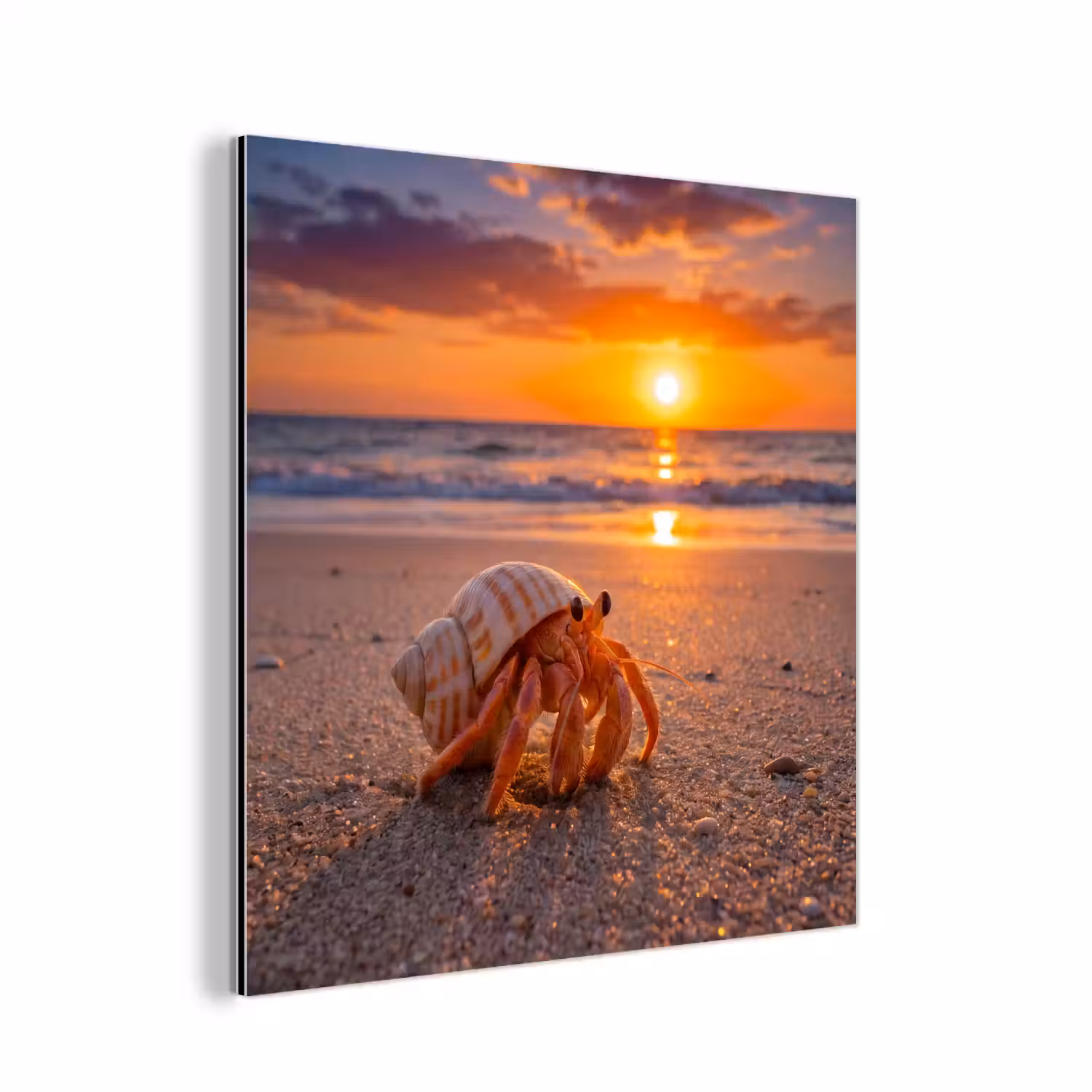 Kreeft - Strand - Natuur - Zonsondergang - Oranje aluminium wit klein -3d
