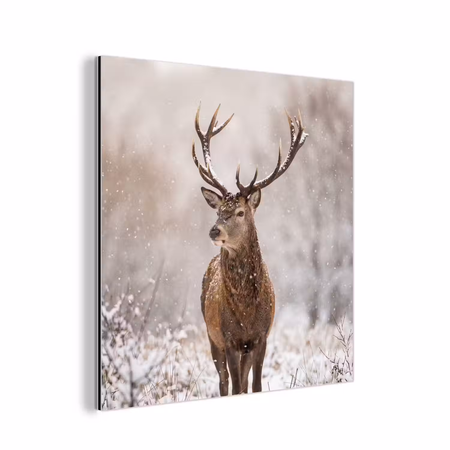 Edelhert - Bos - Sneeuw - Winter - Majestueus aluminium wit klein -3d