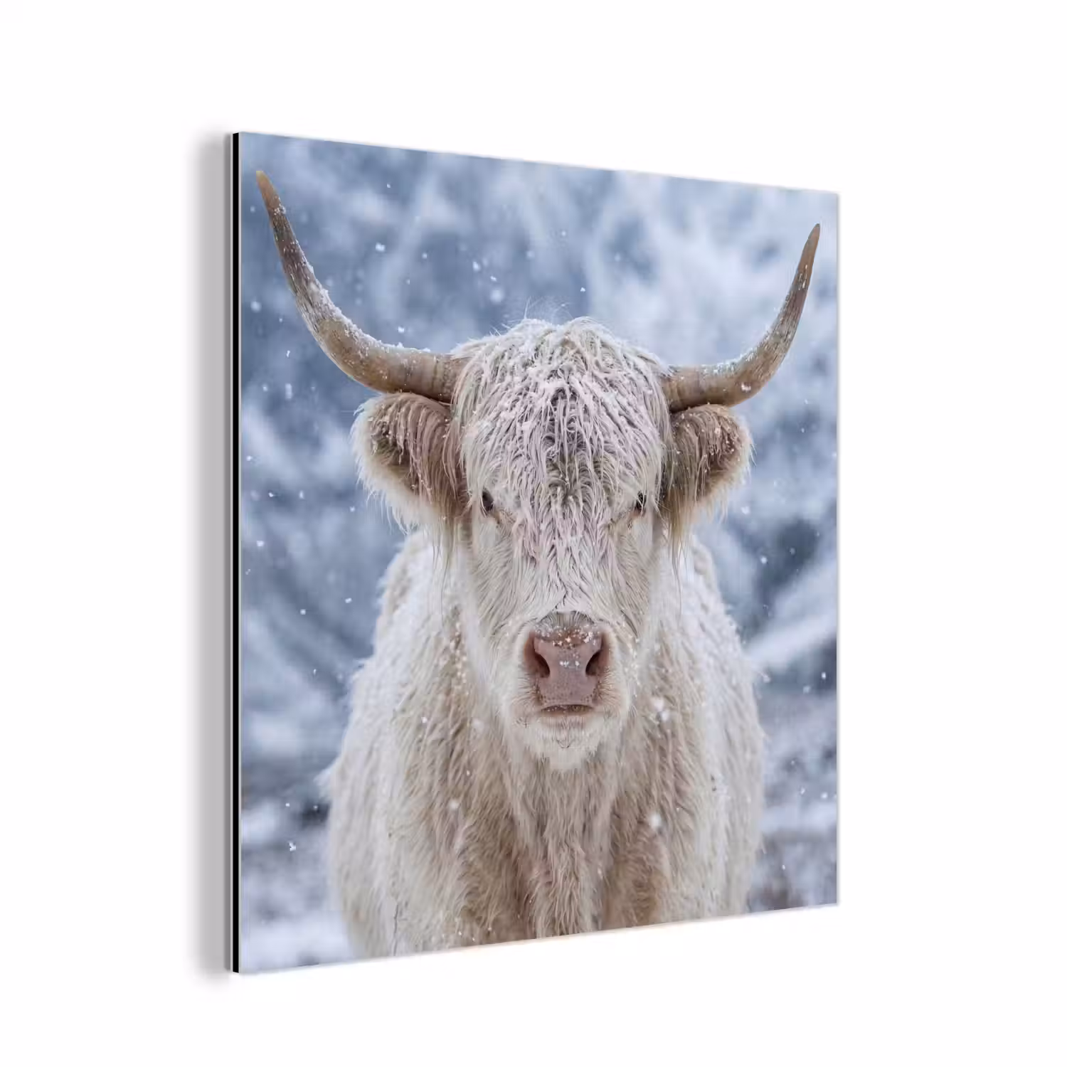 Schotse Hooglander - Sneeuw - Bergen - Winter aluminium wit klein -3d