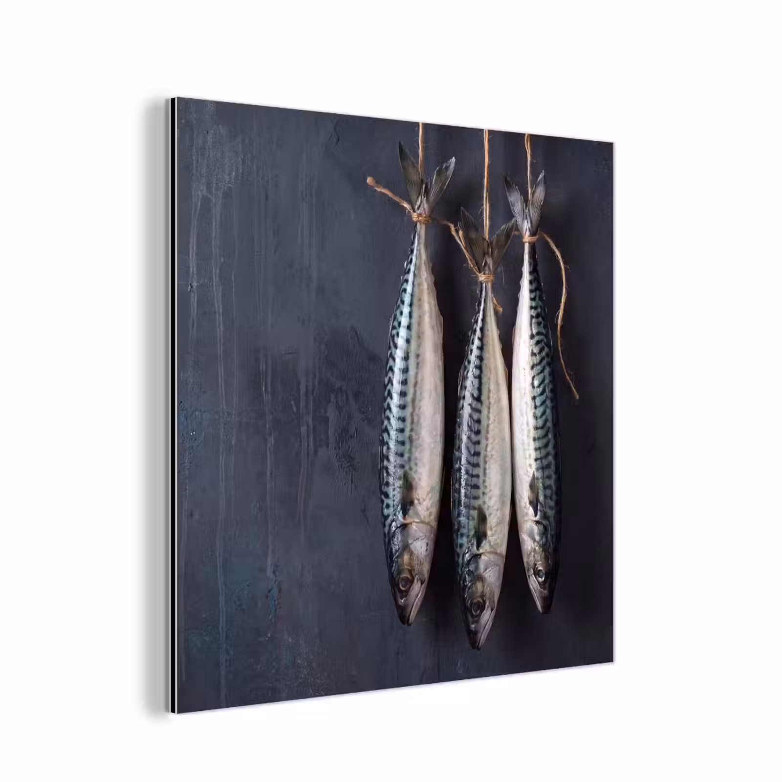 aluminium wall art - Three Fish - Rope - Drie vissen - Touw aluminium wit klein
