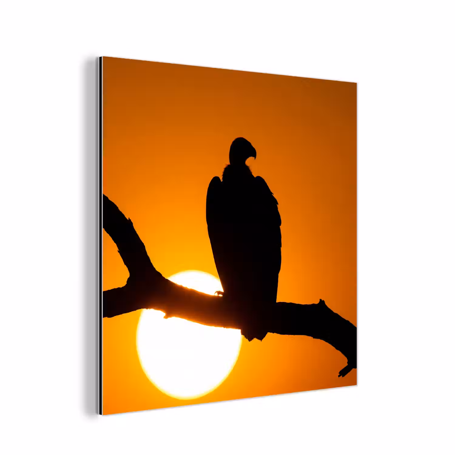 Gier - Tak - Zon - Oranje aluminium wit klein -3d