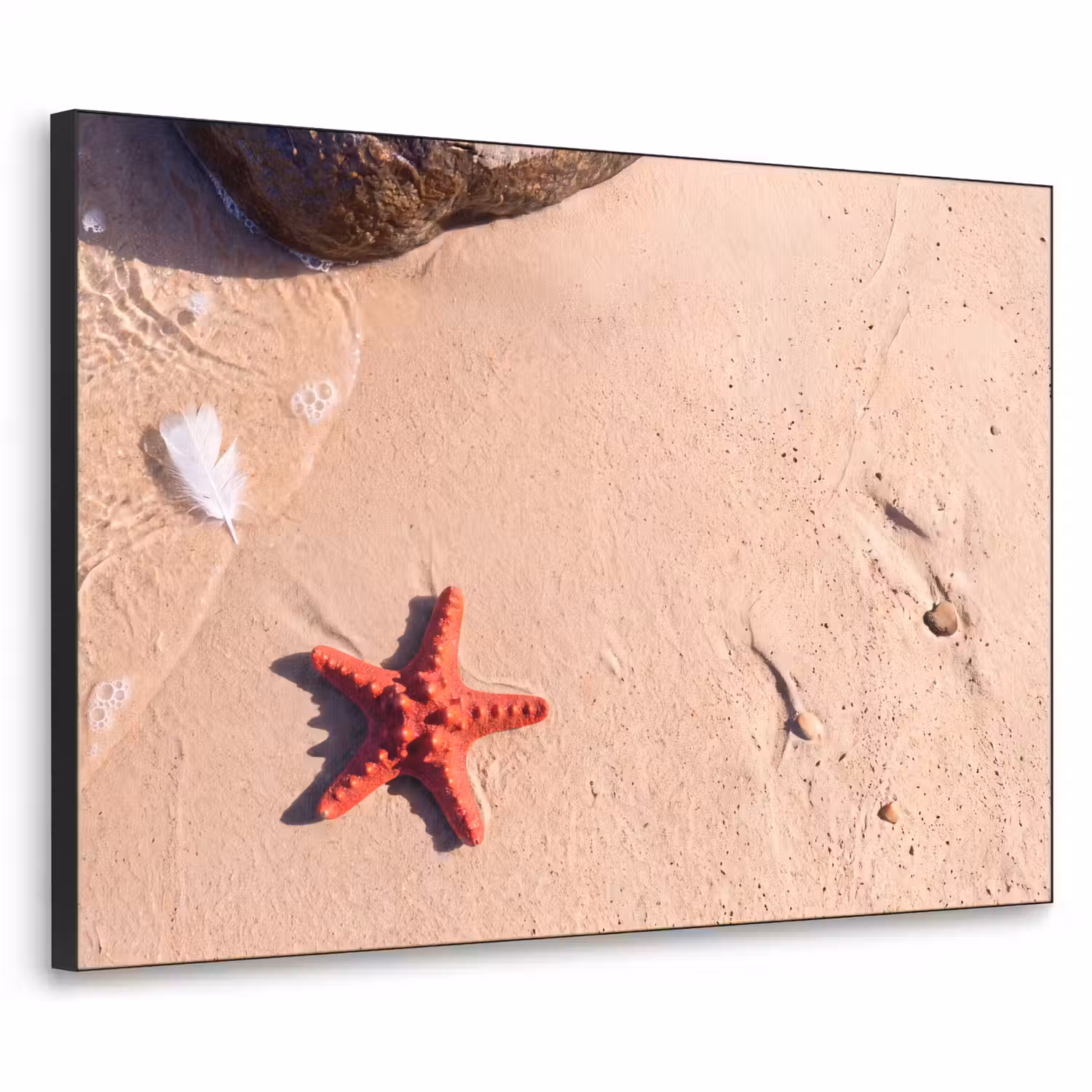 Dieren - Strand - Zee - Natuur - Rood Textielframe zwart klein -3d