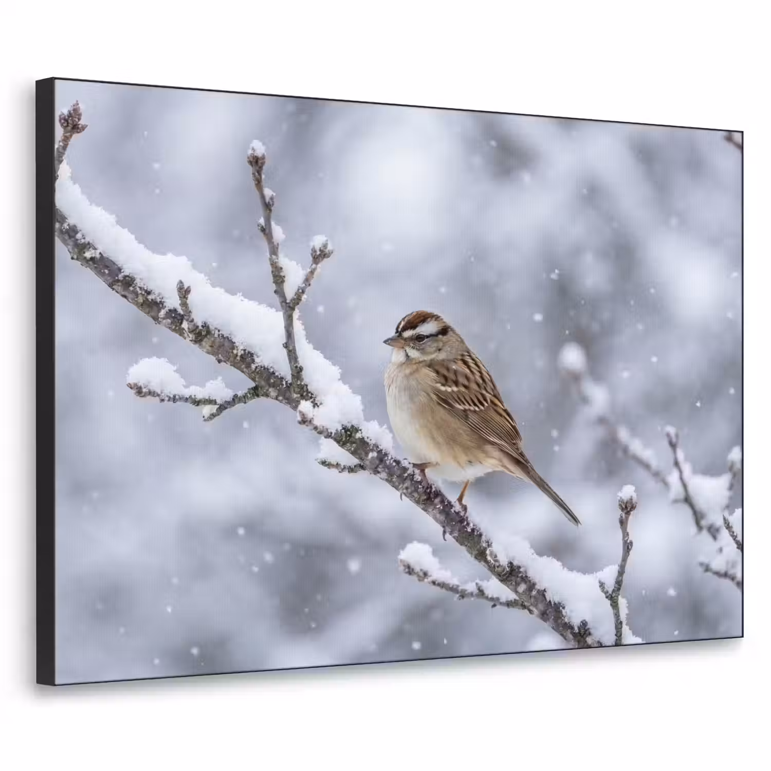 Vogel - Tak - Sneeuw - Winter Textielframe zwart klein -3d