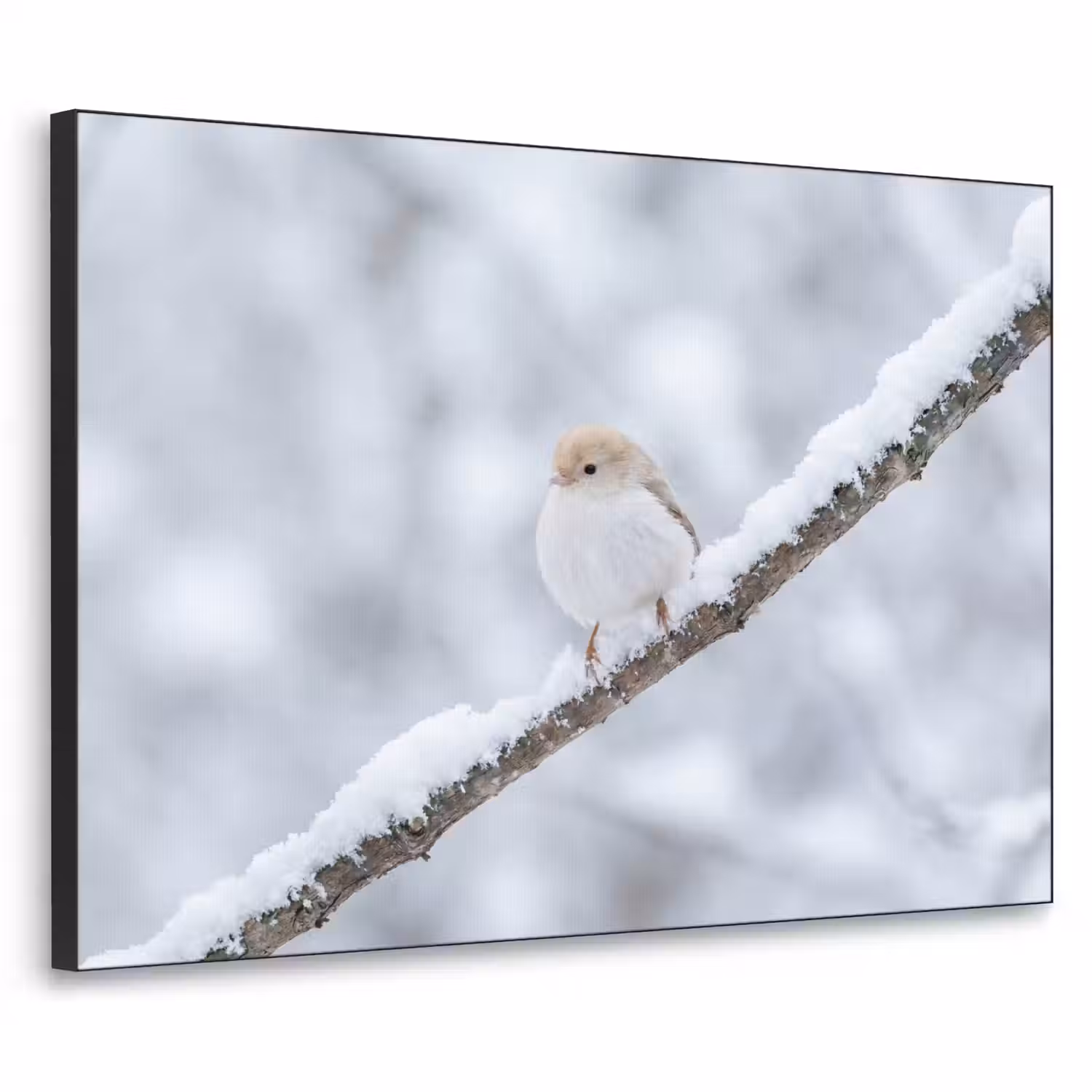 Vogeltje - Sneeuw - Tak - Winter - Zacht Textielframe zwart klein -3d