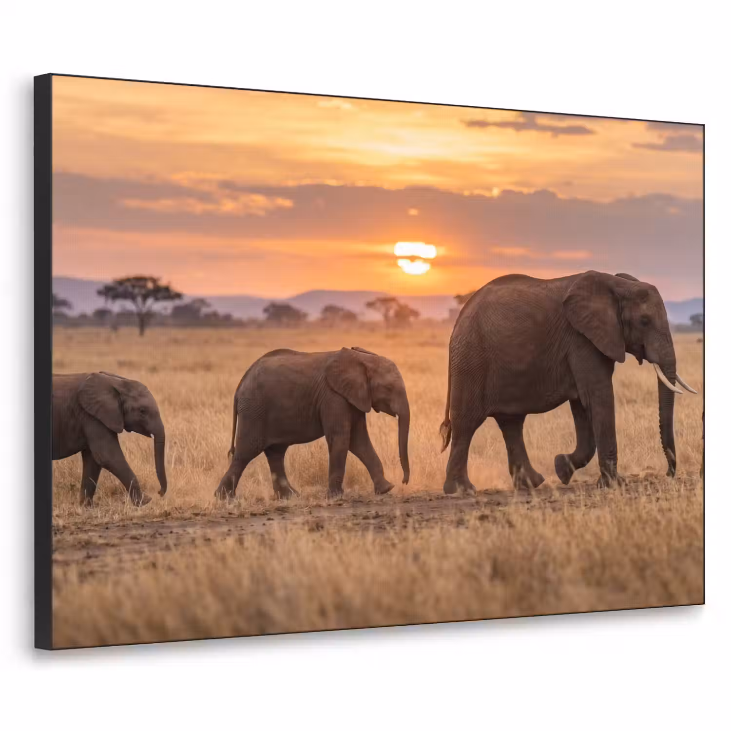Olifanten - Savanne - Zonsondergang - Afrika - Warm Textielframe zwart klein -3d