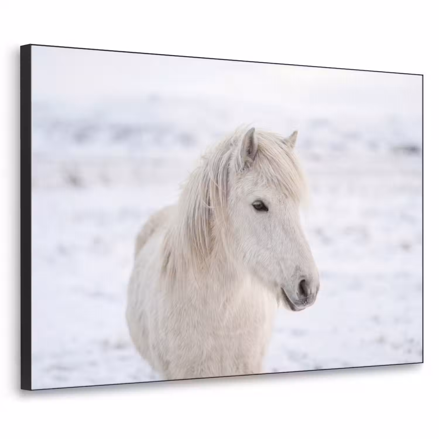 Paard - Kop - Winter - Dieren - Wit Textielframe zwart klein -3d