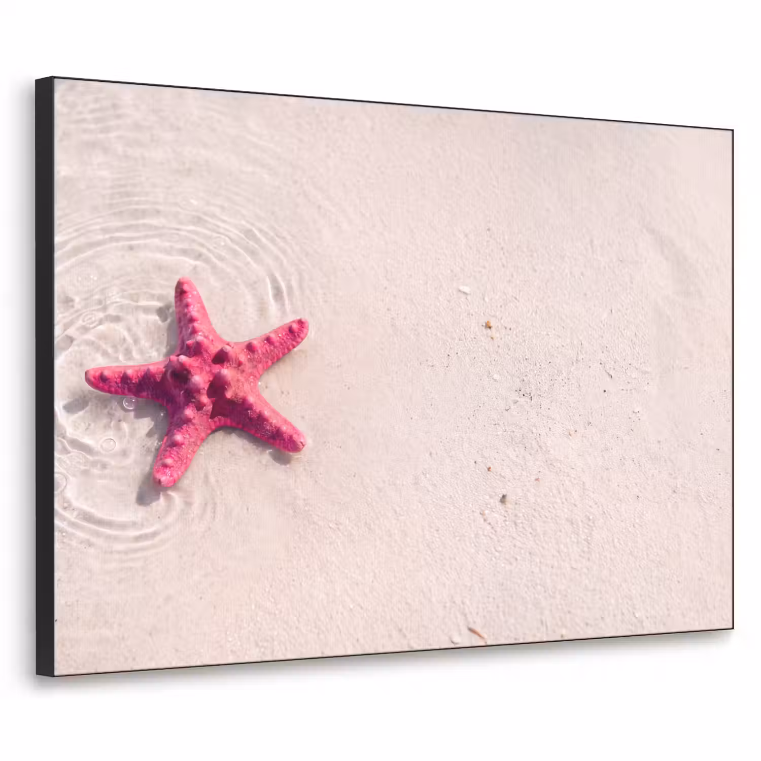 Zeeleven - Zeester - Strand - Roze - Water Textielframe zwart klein -3d