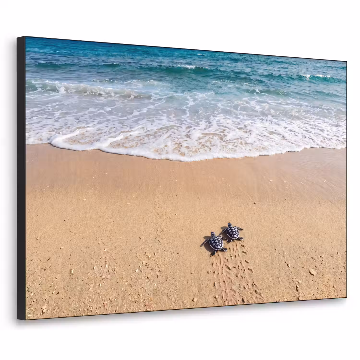 Schildpad - Jong - Strand - Oceaan - Blauw Textielframe zwart klein -3d