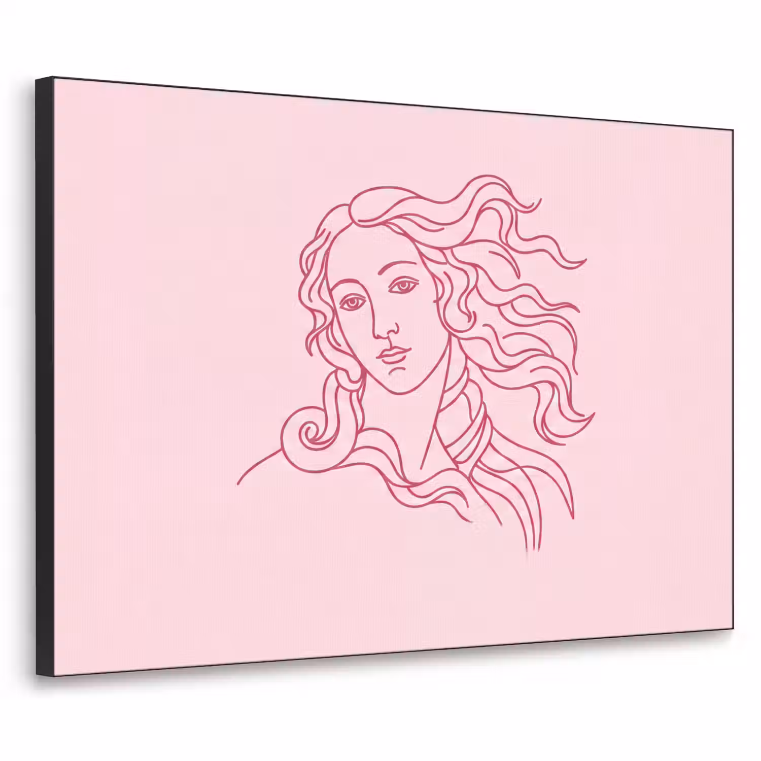 Vrouw - Portret - Klassiek - Line-art - Roze Textielframe zwart klein -3d
