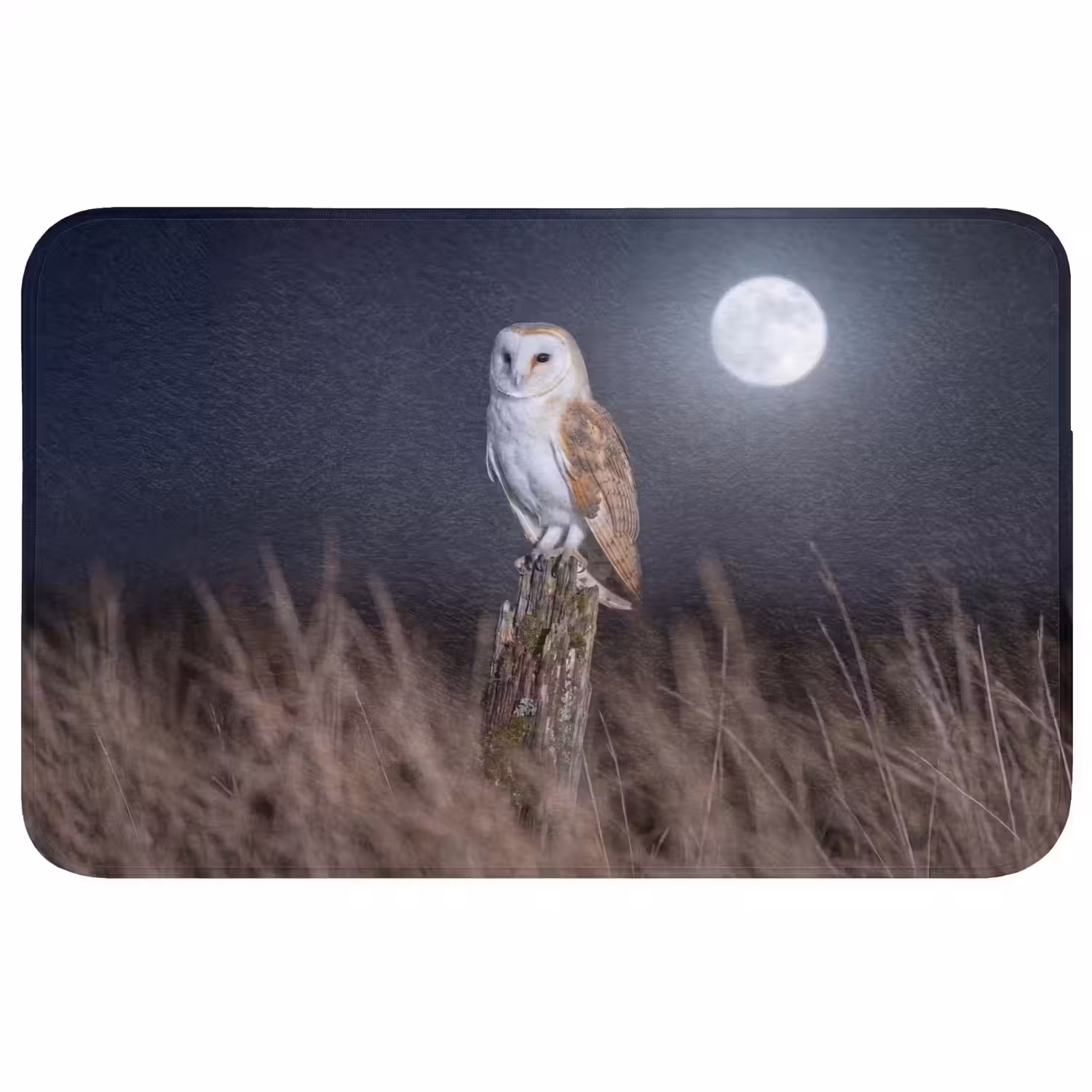 Kerkuil - Maan - Nacht Badmat klein -3d