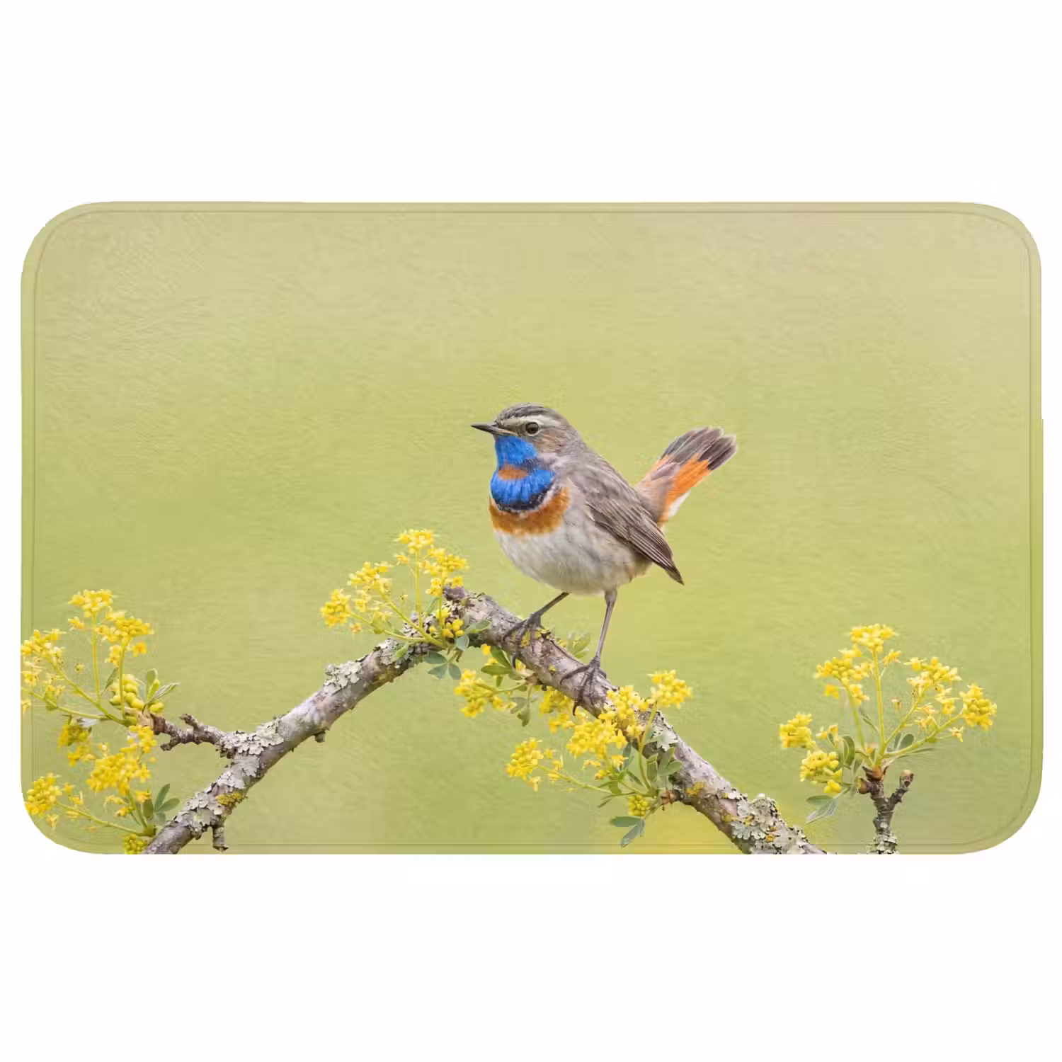 Vogel - Tak - Natuur - Kleurrijk Badmat middel -3d