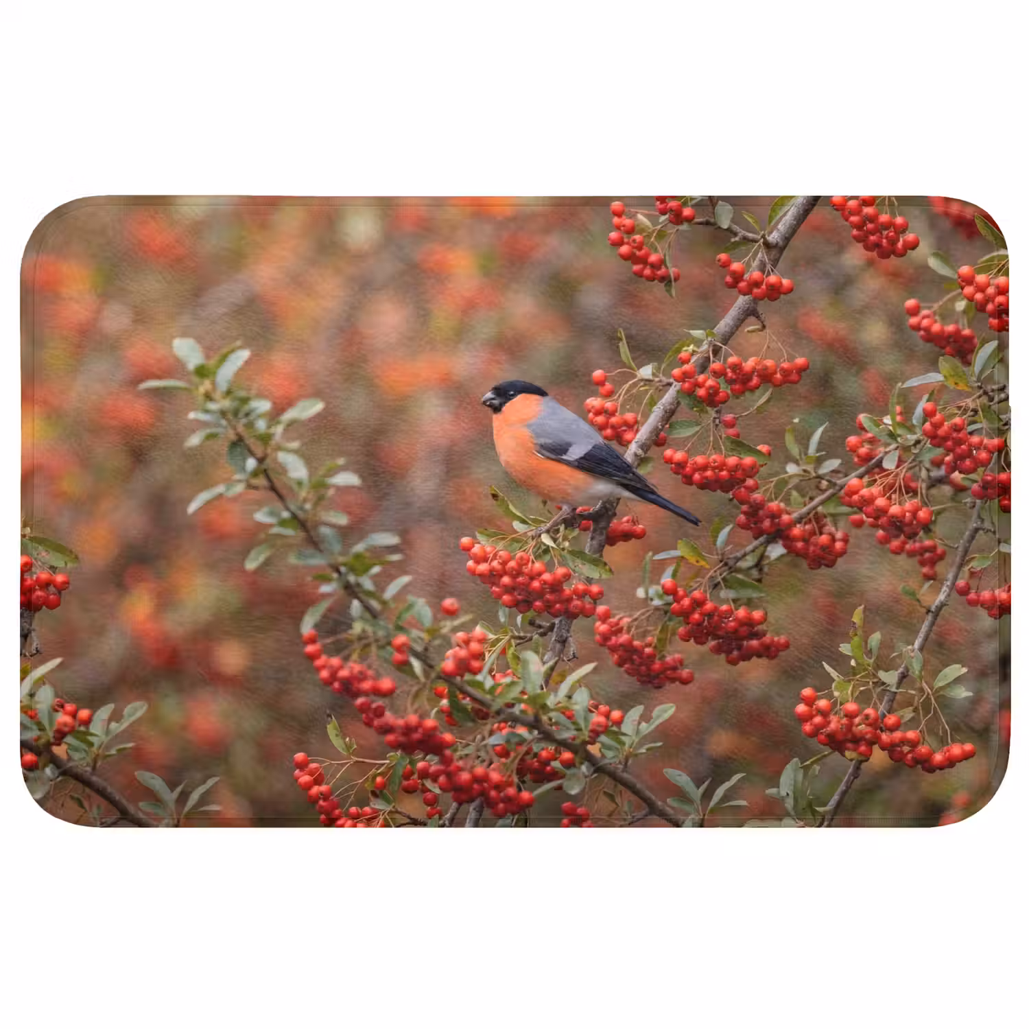 Goudvink - Bessen - Herfst - Natuur - Kleurrijk Badmat klein -3d