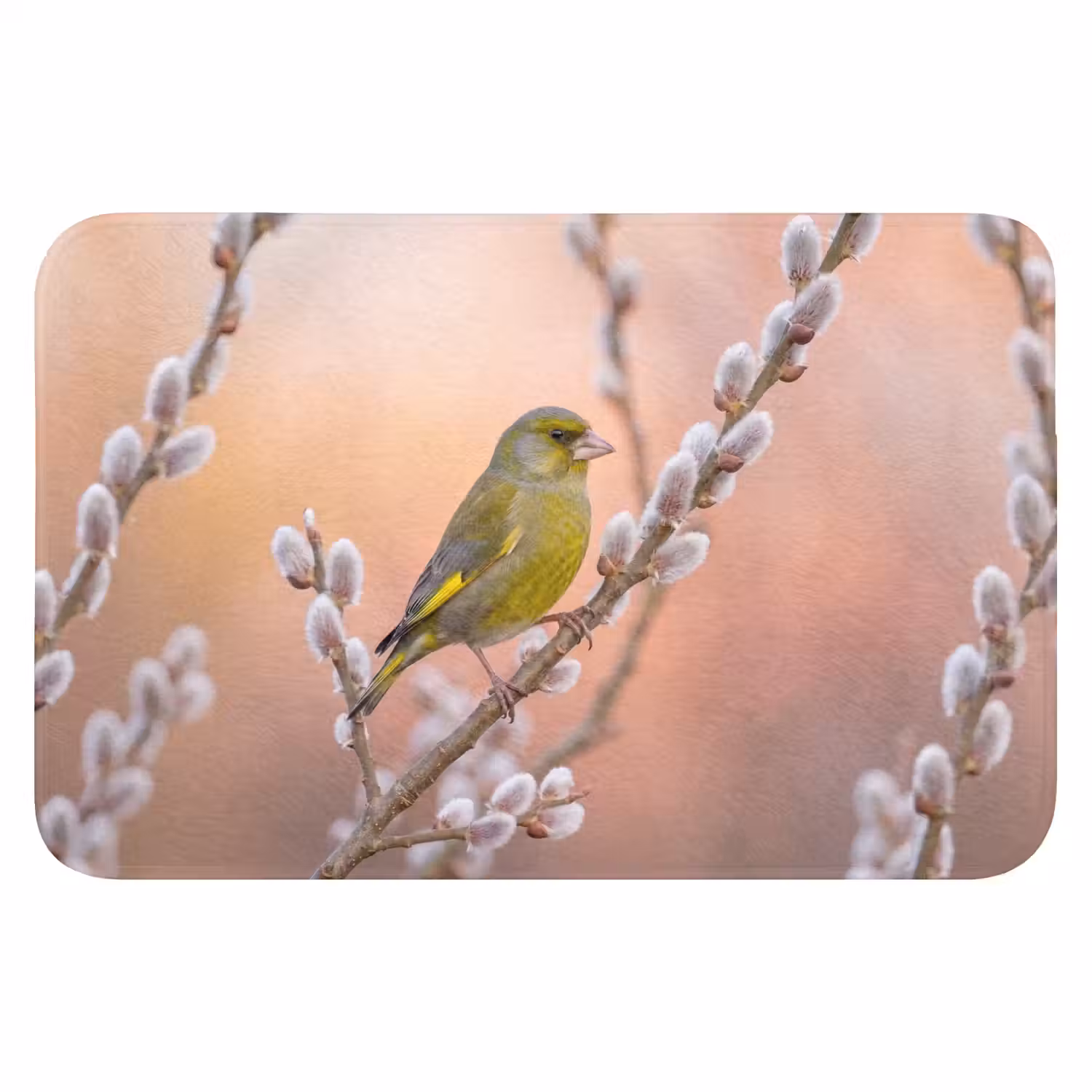 Groenling - Katjes - Lente - Natuur - Zacht Badmat klein -3d
