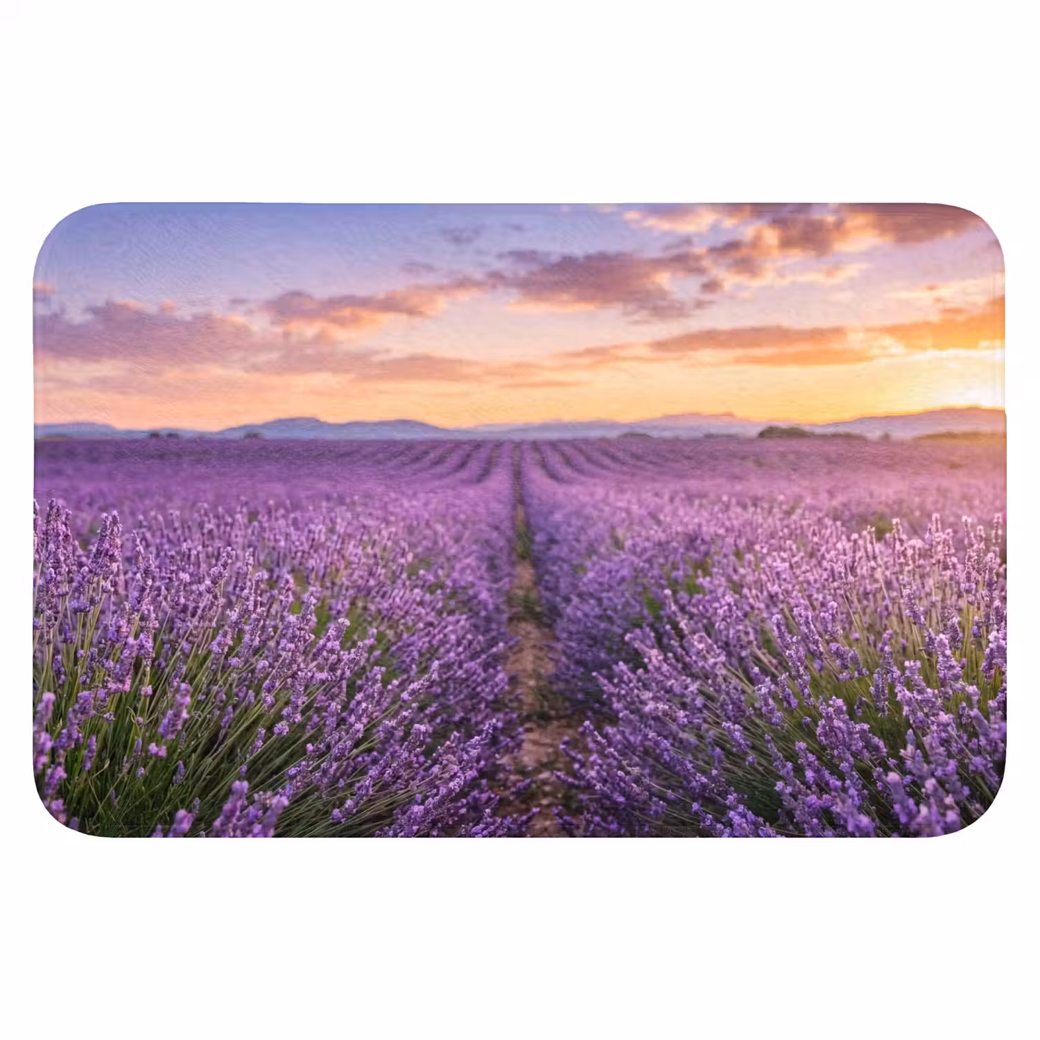 Lavendel - Veld - Natuur - Paars Badmat klein -3d