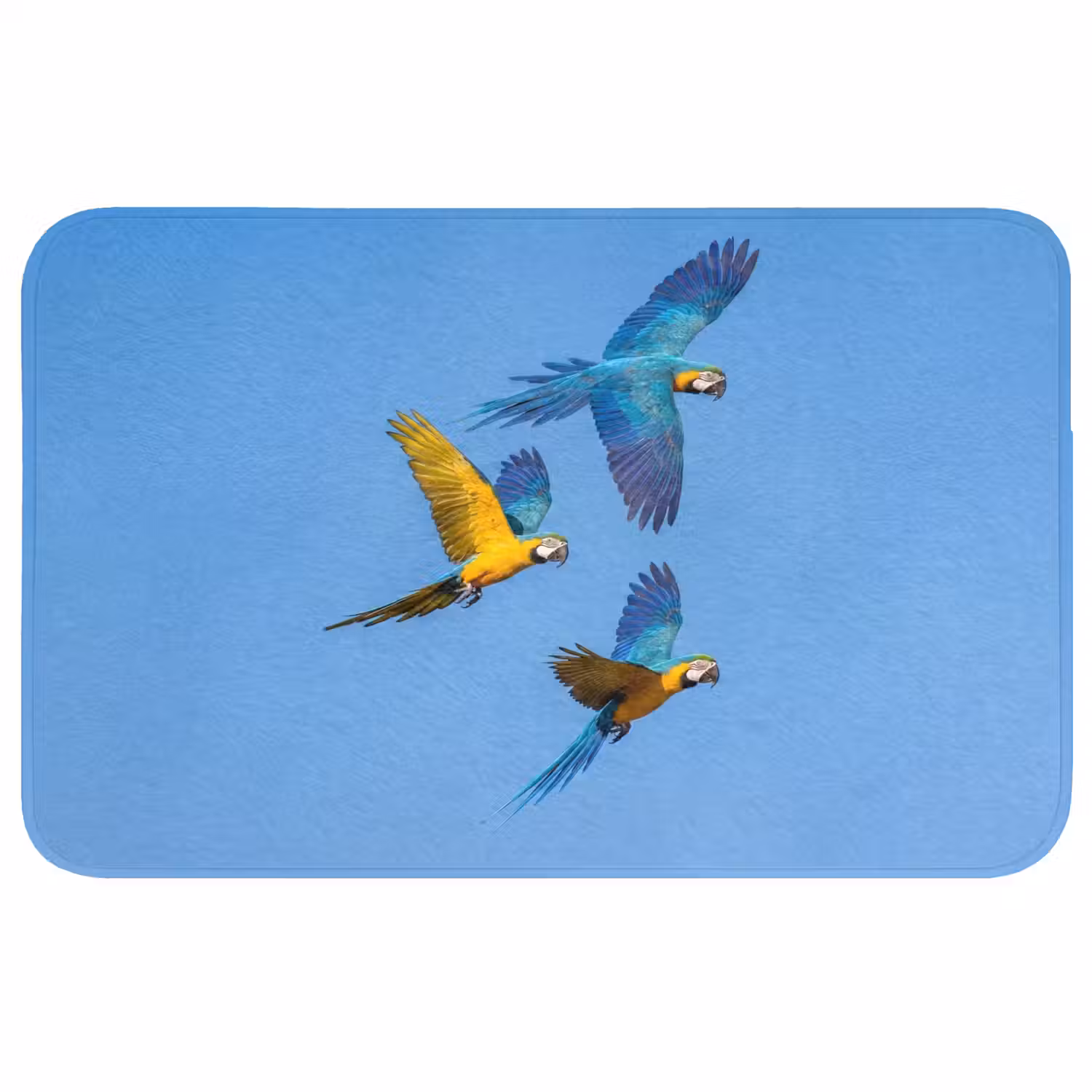 Papagaai - Vliegen - Blauw - Geel Badmat klein -3d