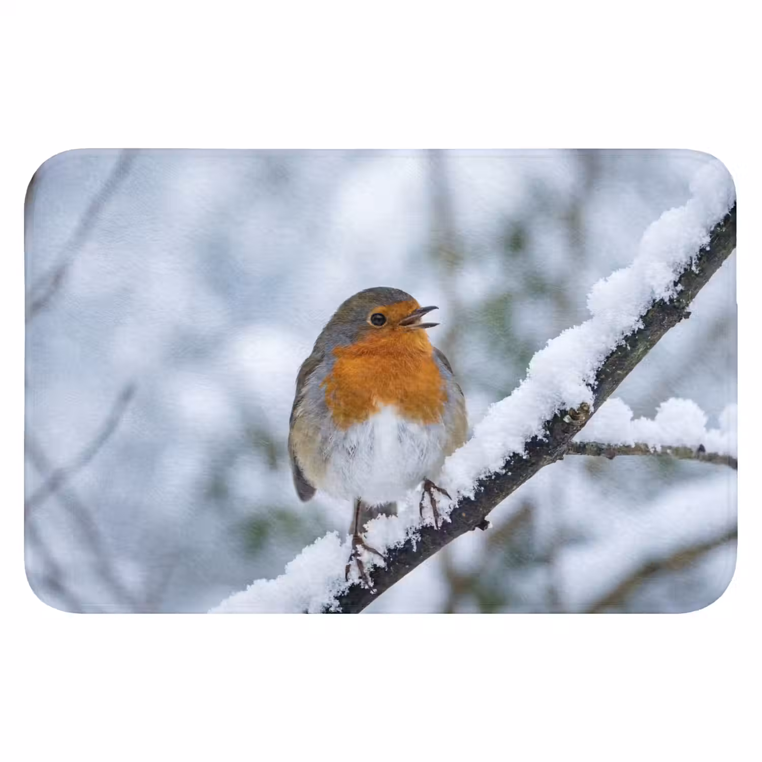 Roodborstje - Tak - Sneeuw - Winter - Levendig Badmat klein -3d
