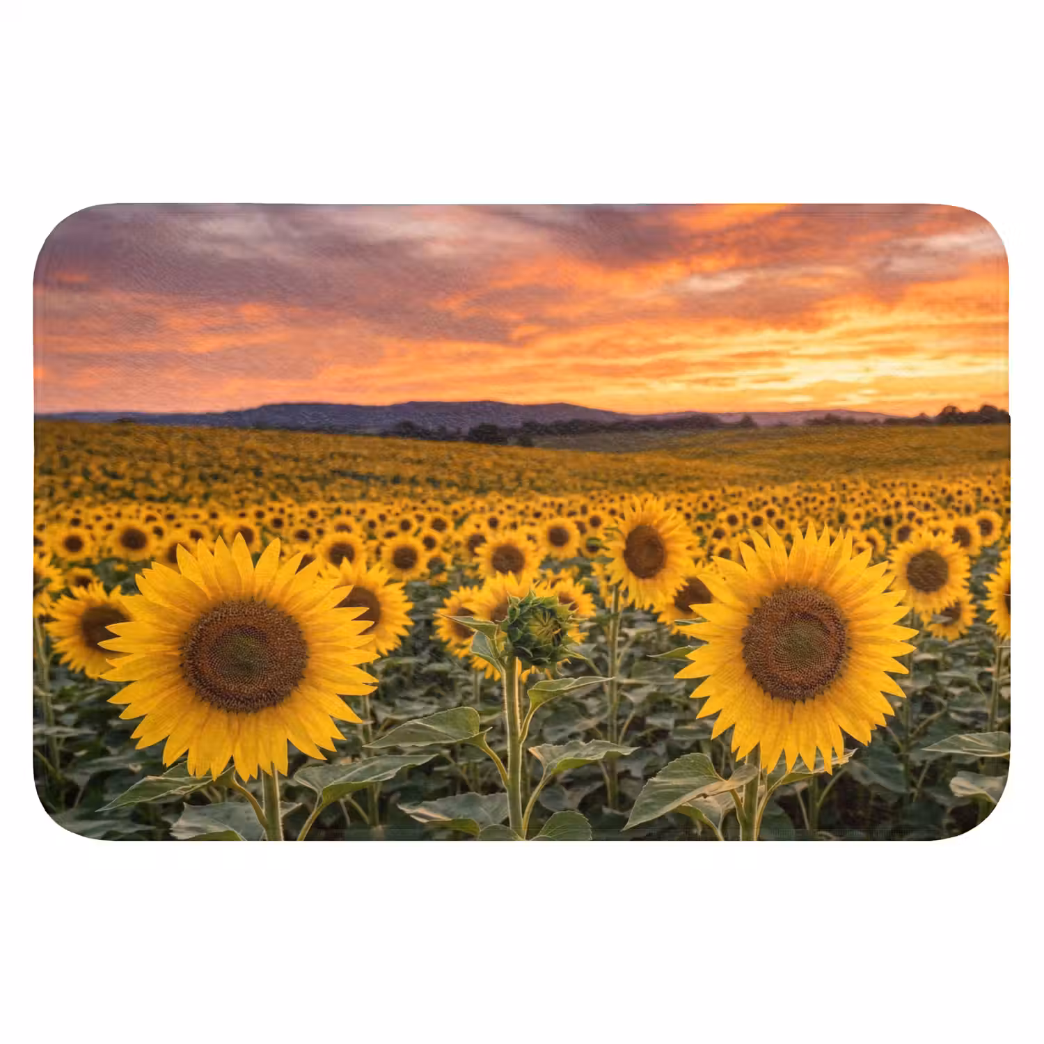 Zonnebloemen - Heuvellandschap - Geel Badmat klein -3d