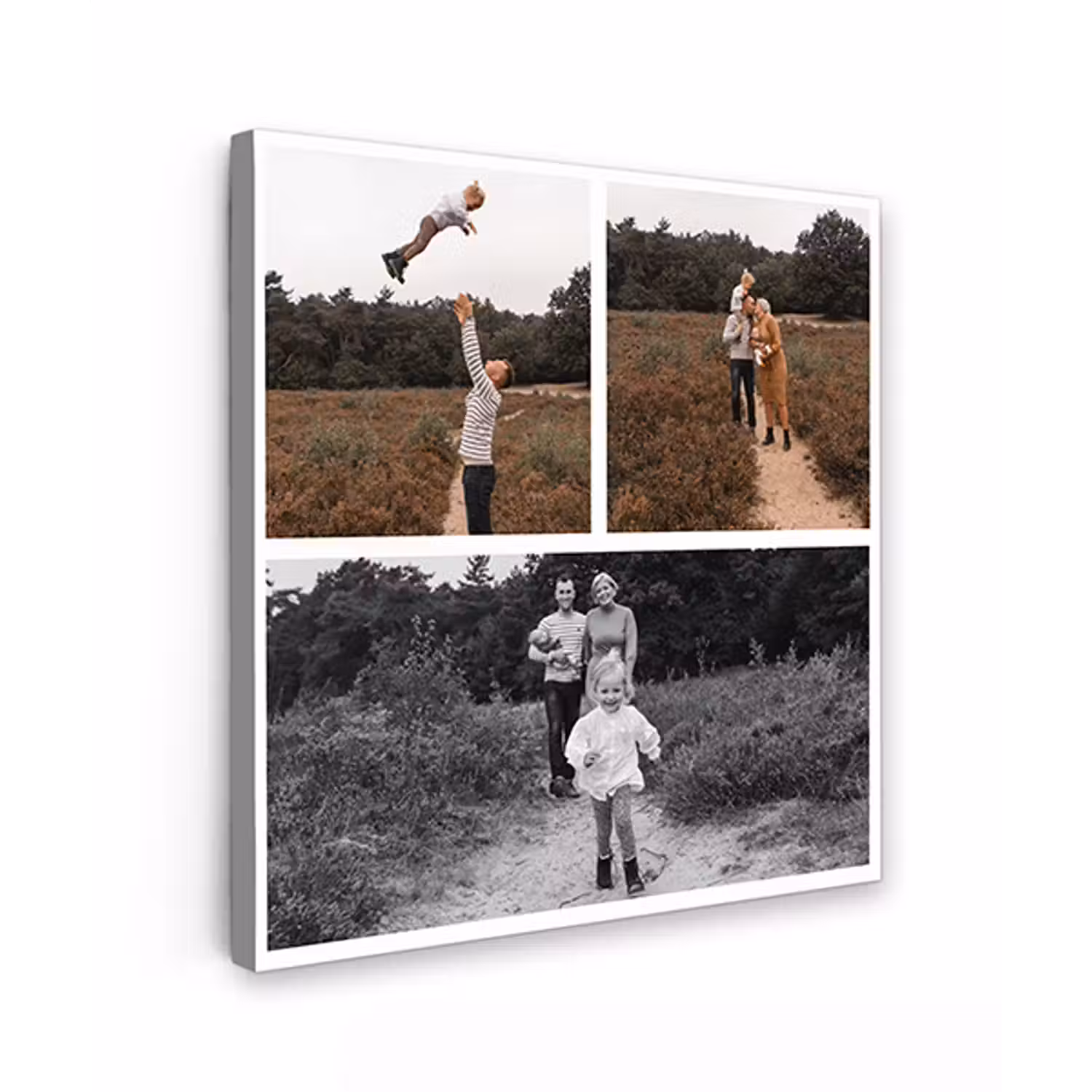 ee7dc465-0b54-4328-a966-649f950f2d97.png