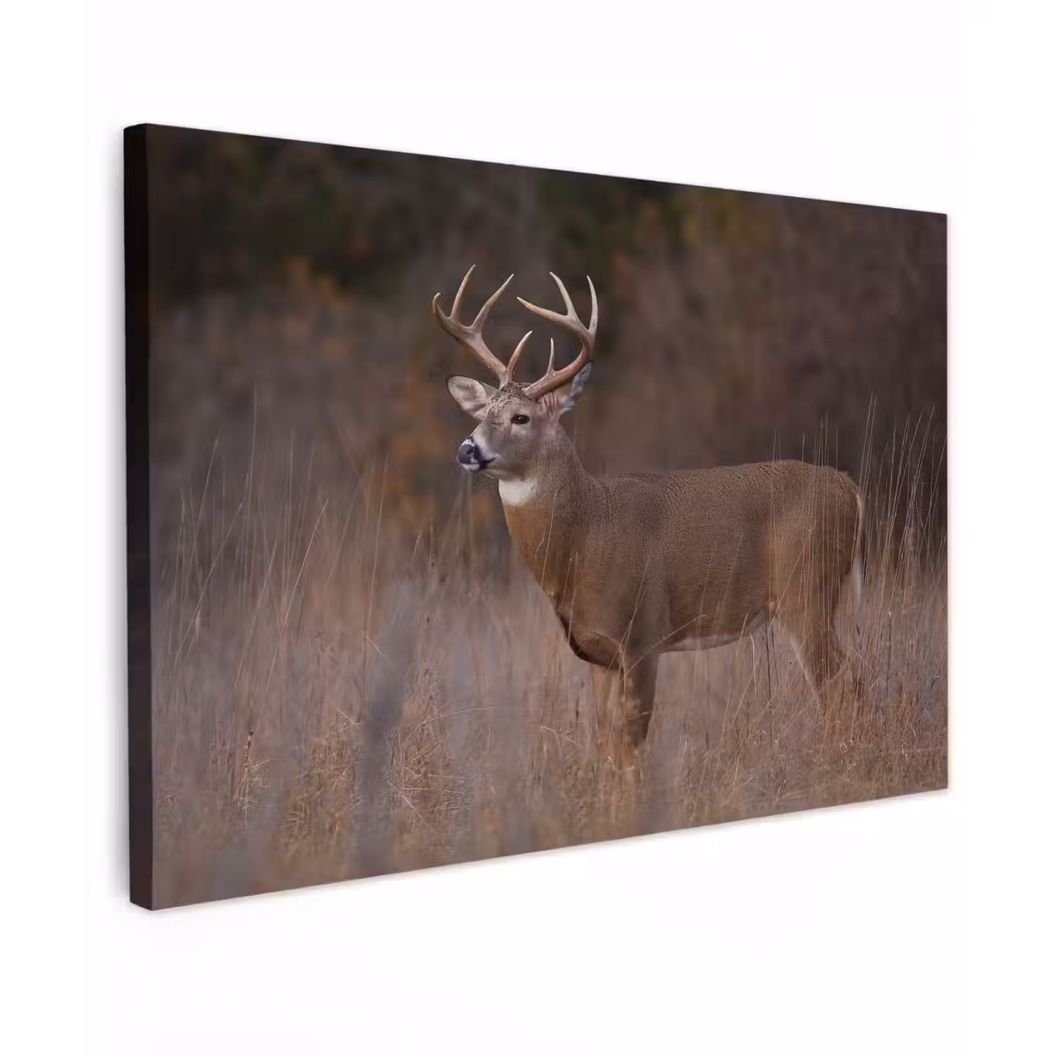 Herfst - Hert - Gras - Natuur - Dieren canvas 2cm klein -z3d